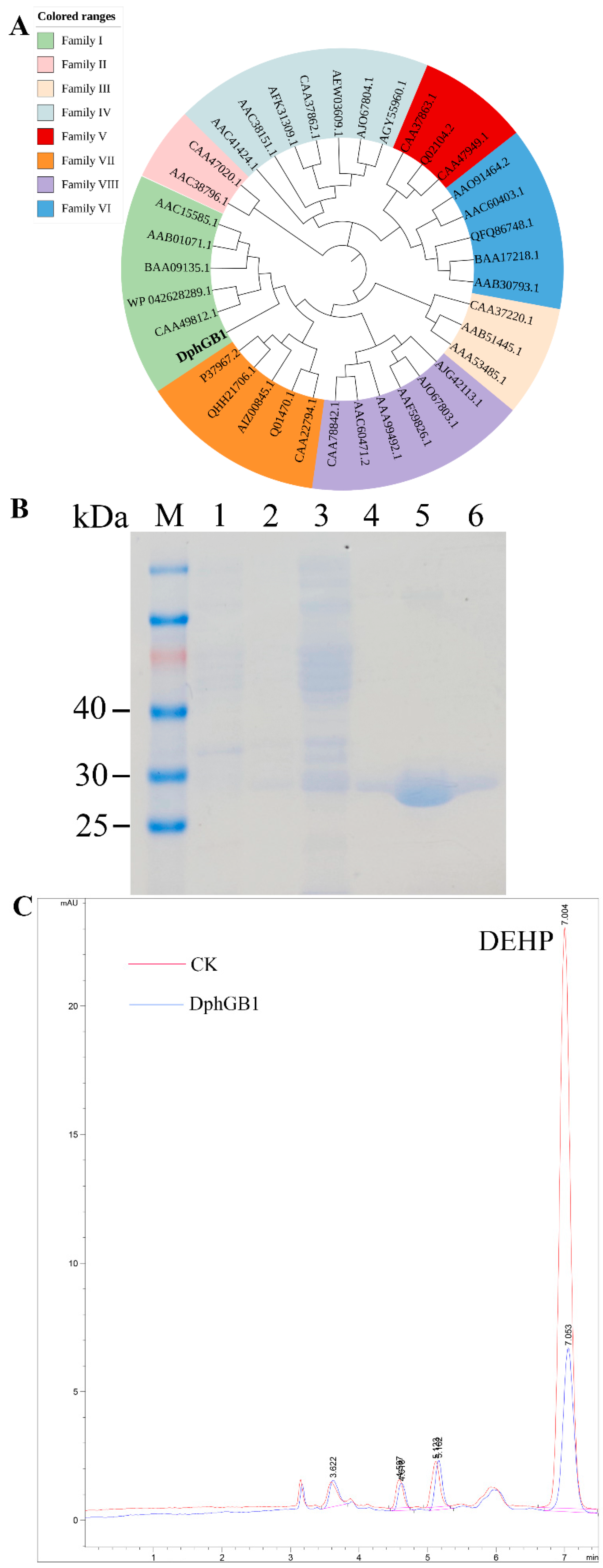 Processes 13 03245 g005