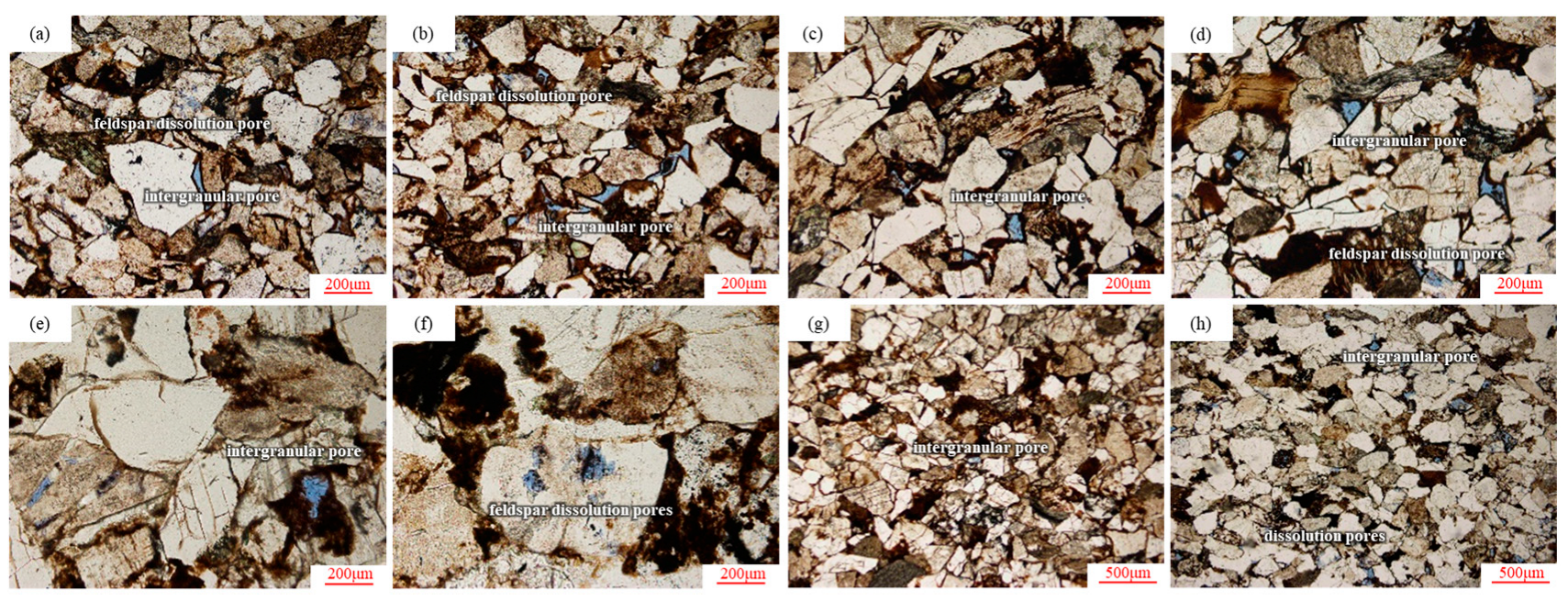 Processes 13 03246 g007 Processes 13 03246 g007