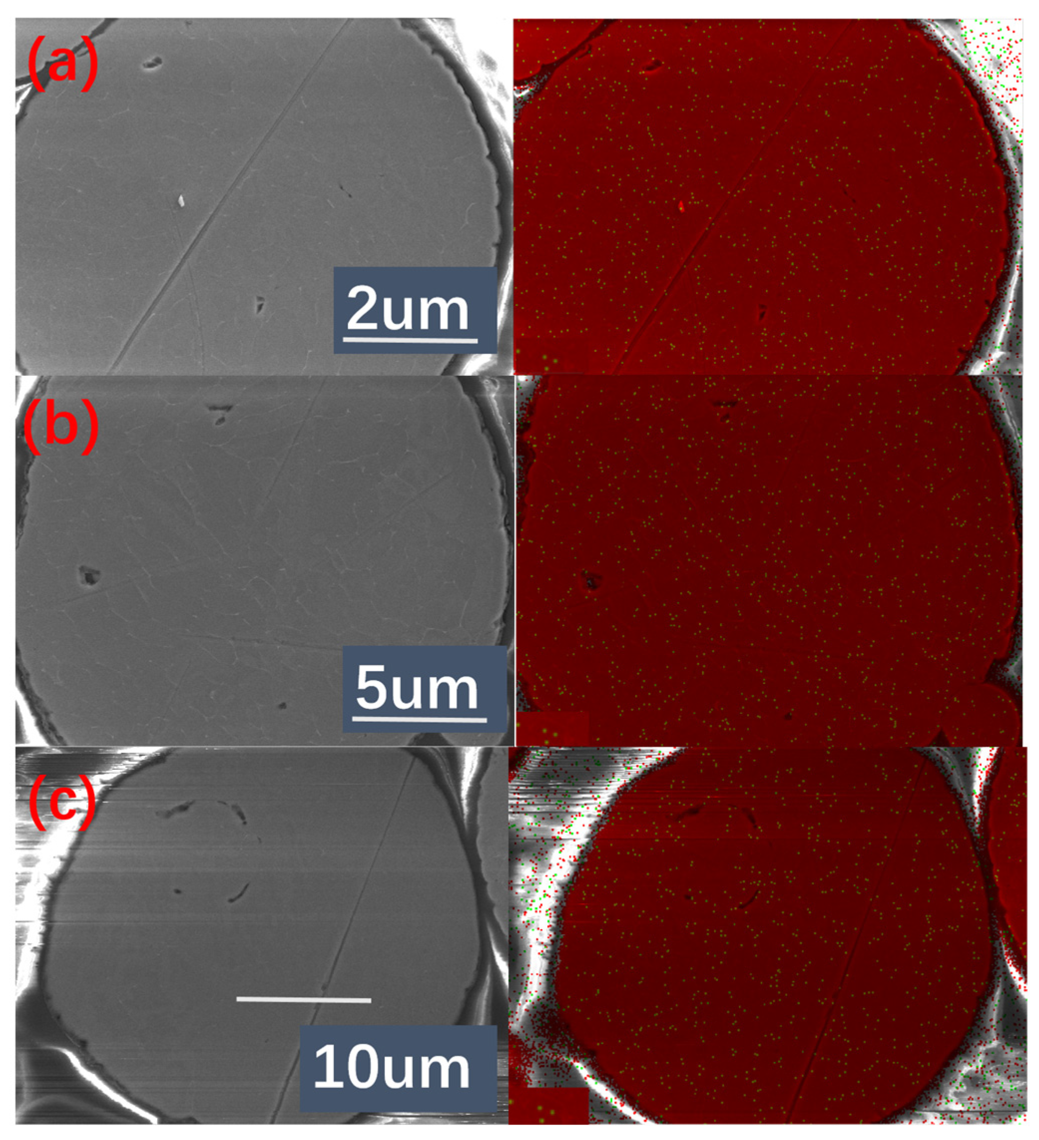 Processes 13 03264 g007