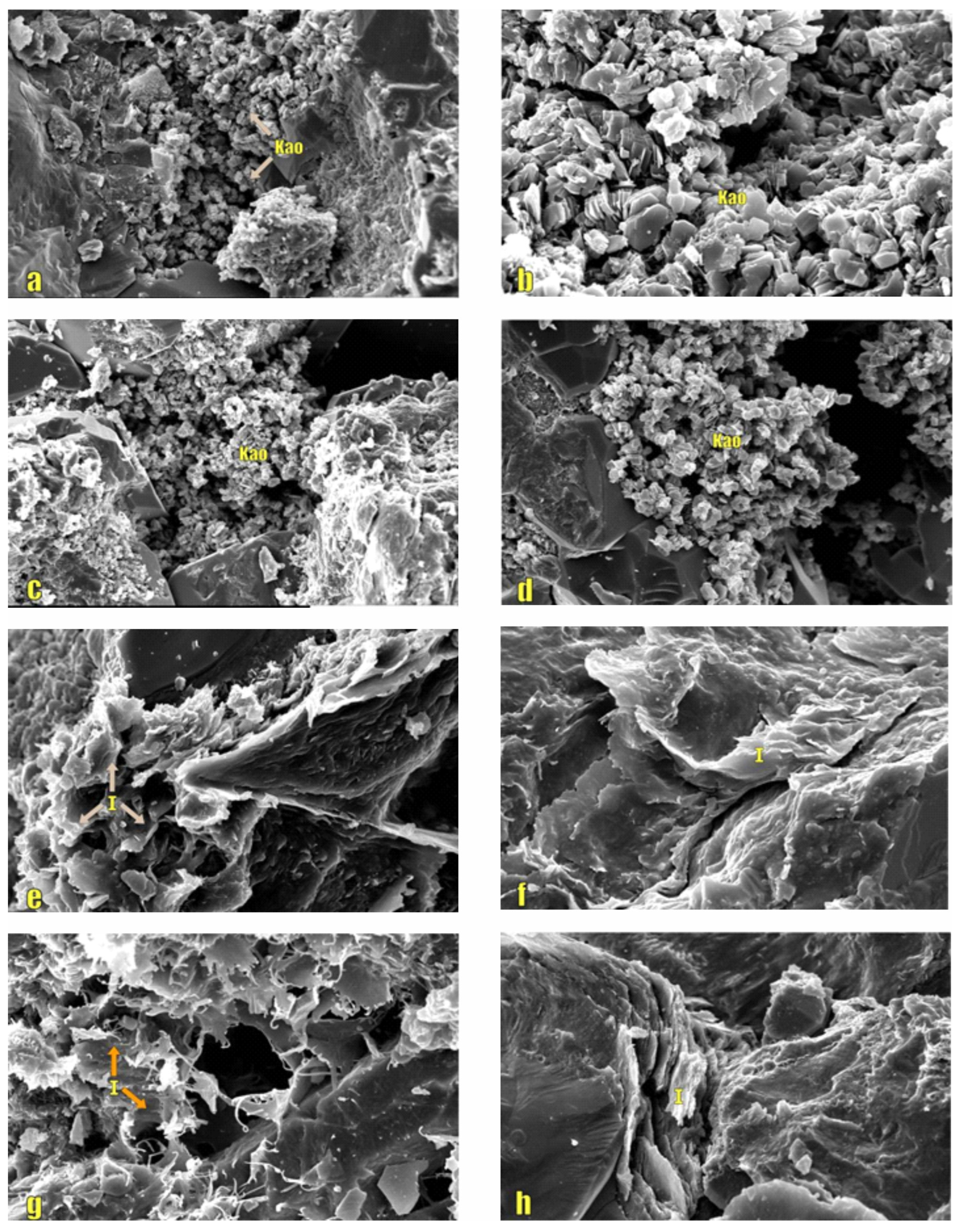 Processes 13 03283 g003