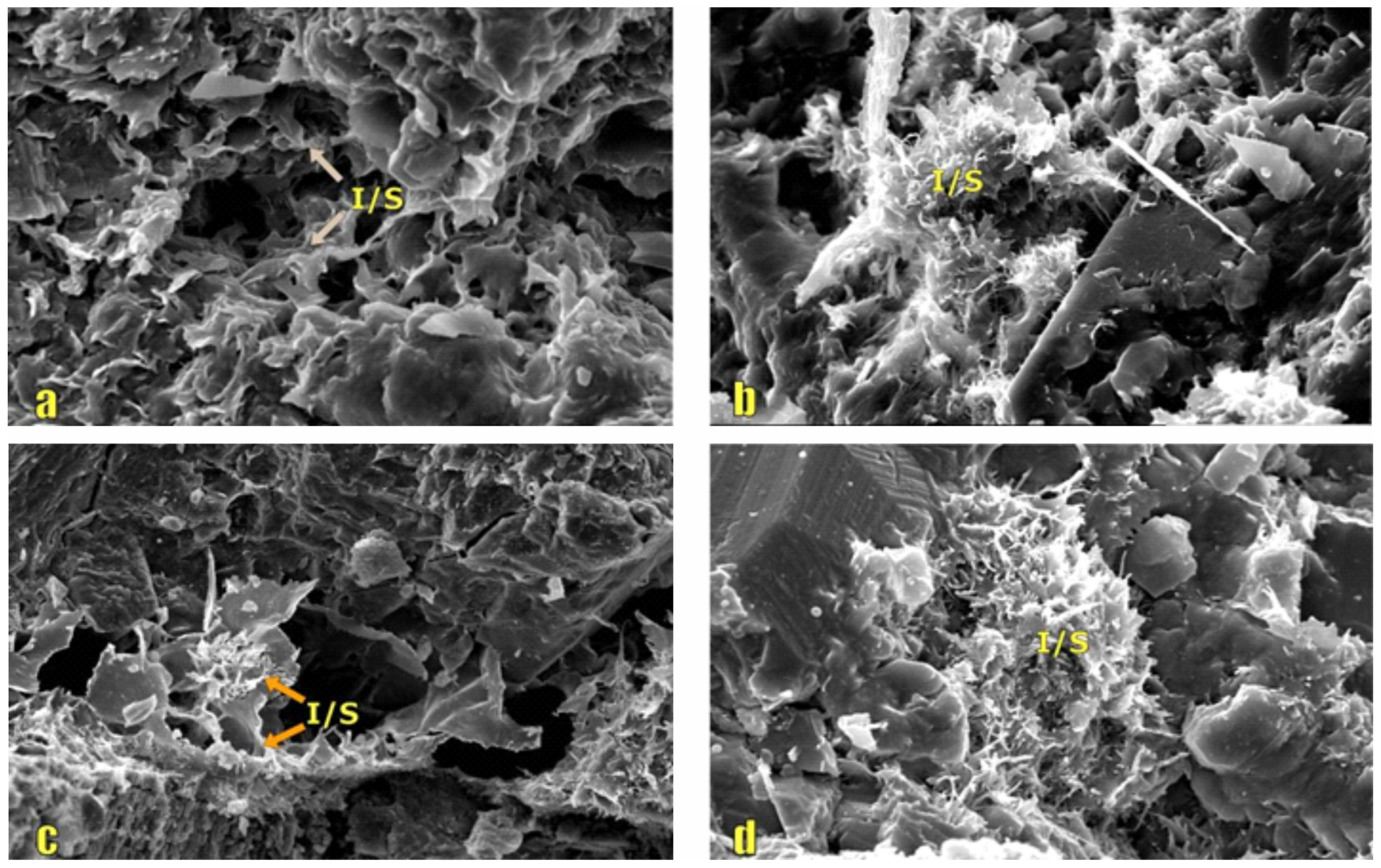Processes 13 03283 g008