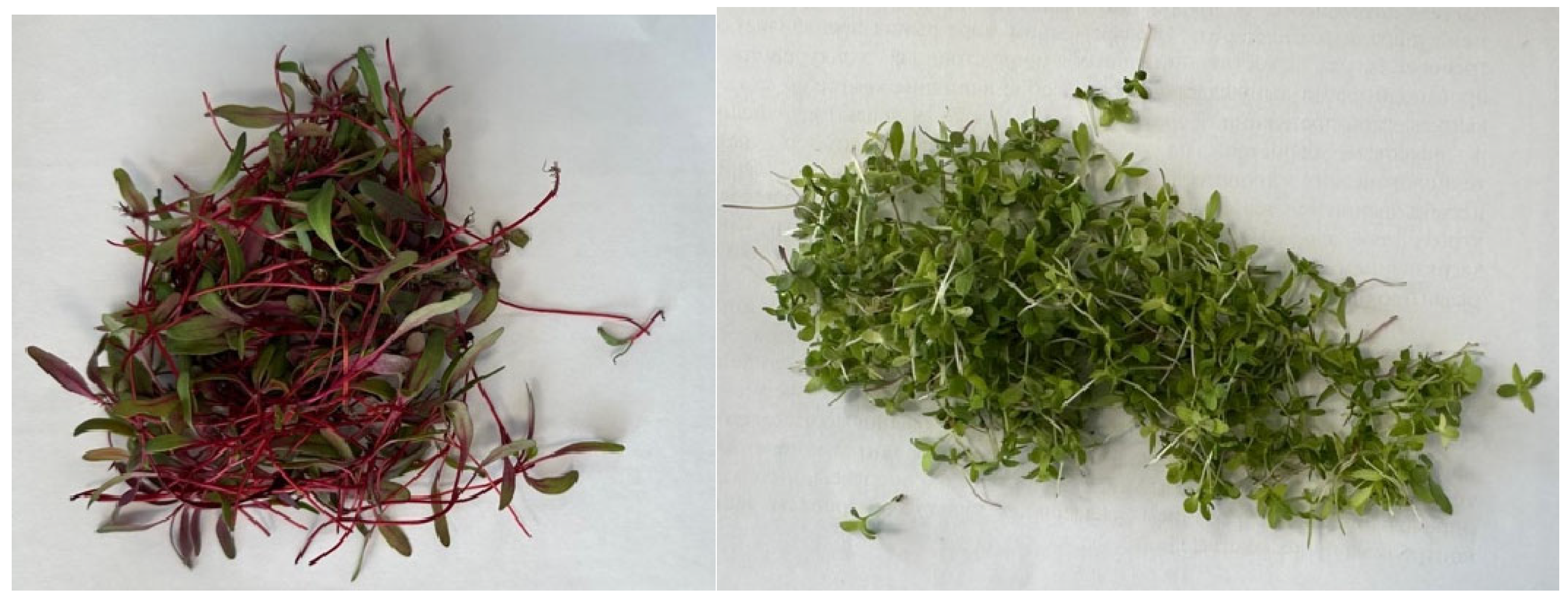 Processes 13 03284 g001