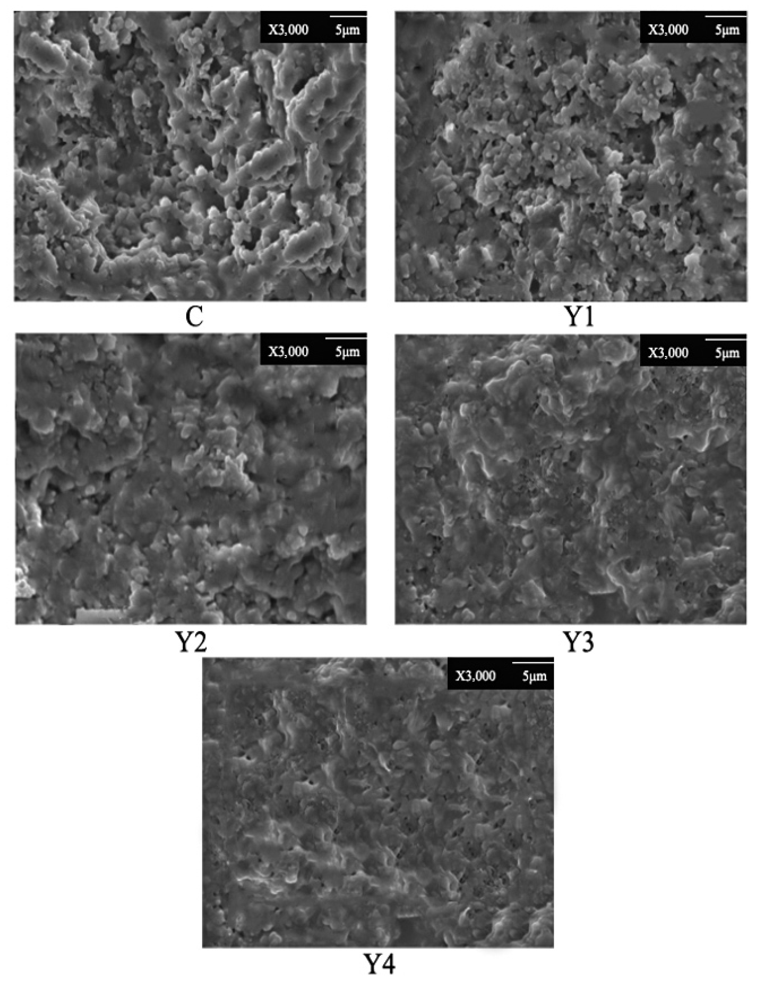 Processes 13 03301 g005 Processes 13 03301 g005