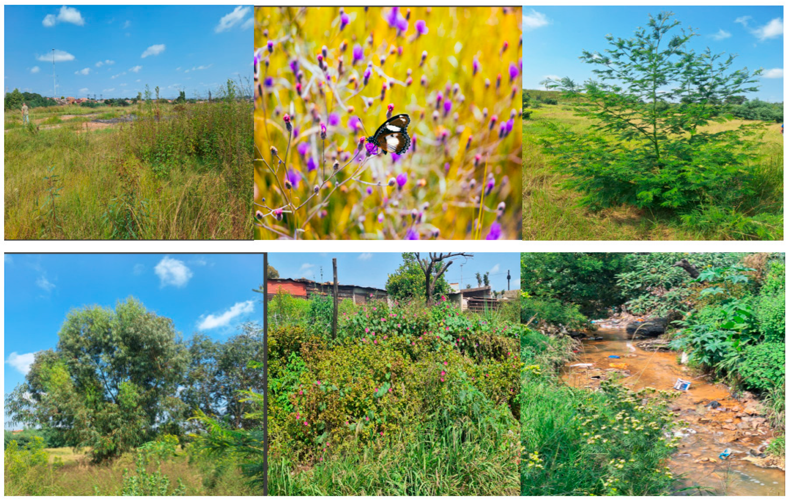 Processes 13 03307 g003 Processes 13 03307 g003