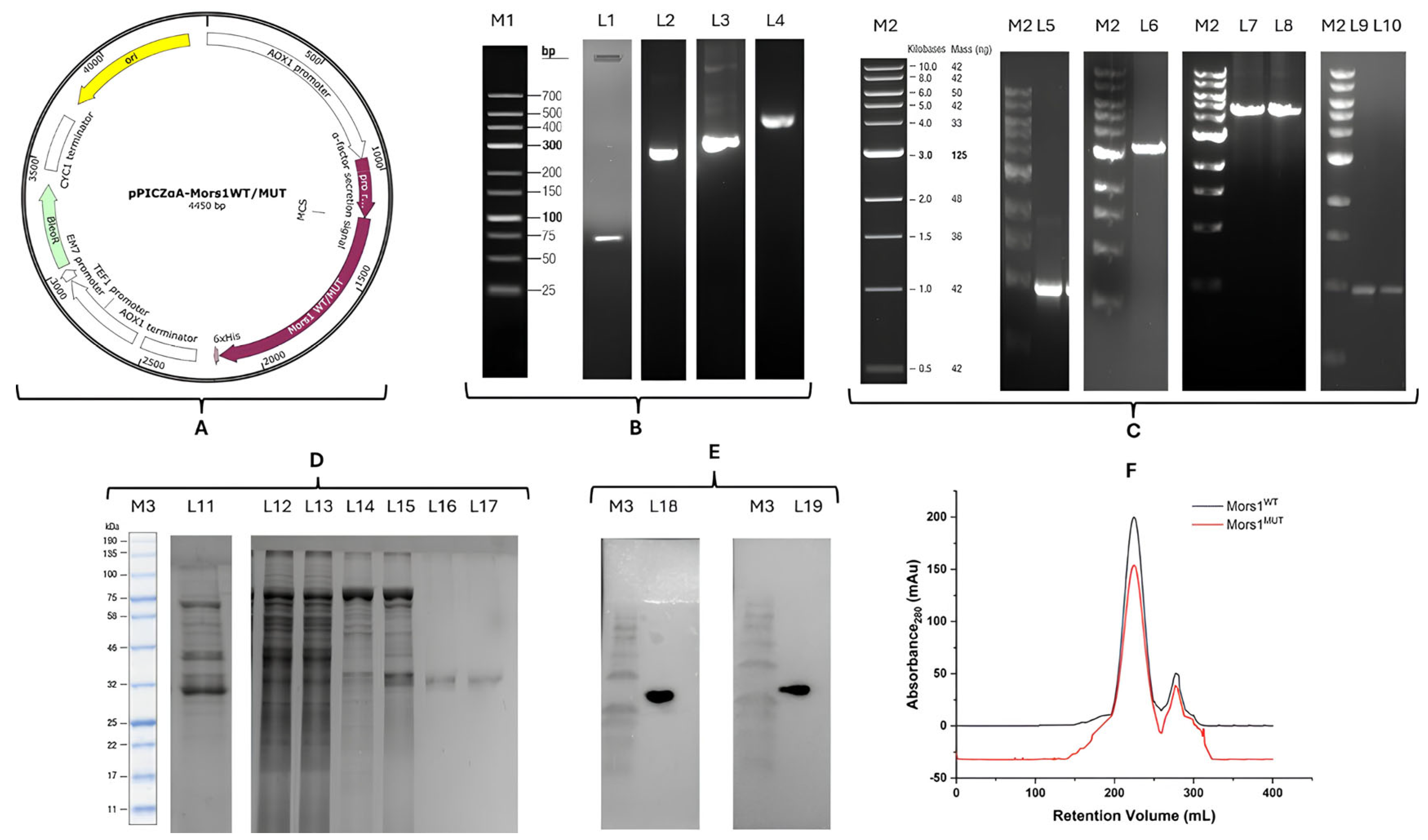 Processes 13 03320 g002 Processes 13 03320 g002