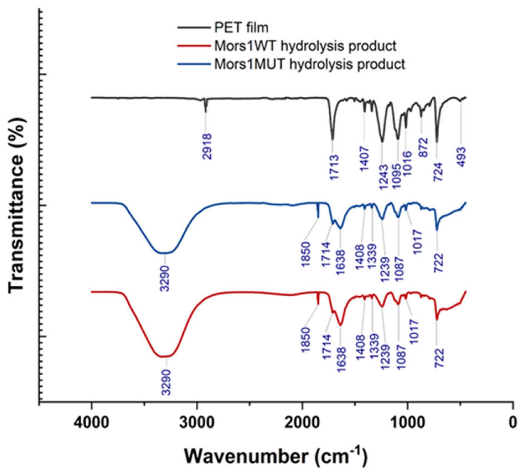 Processes 13 03320 g006 Processes 13 03320 g006