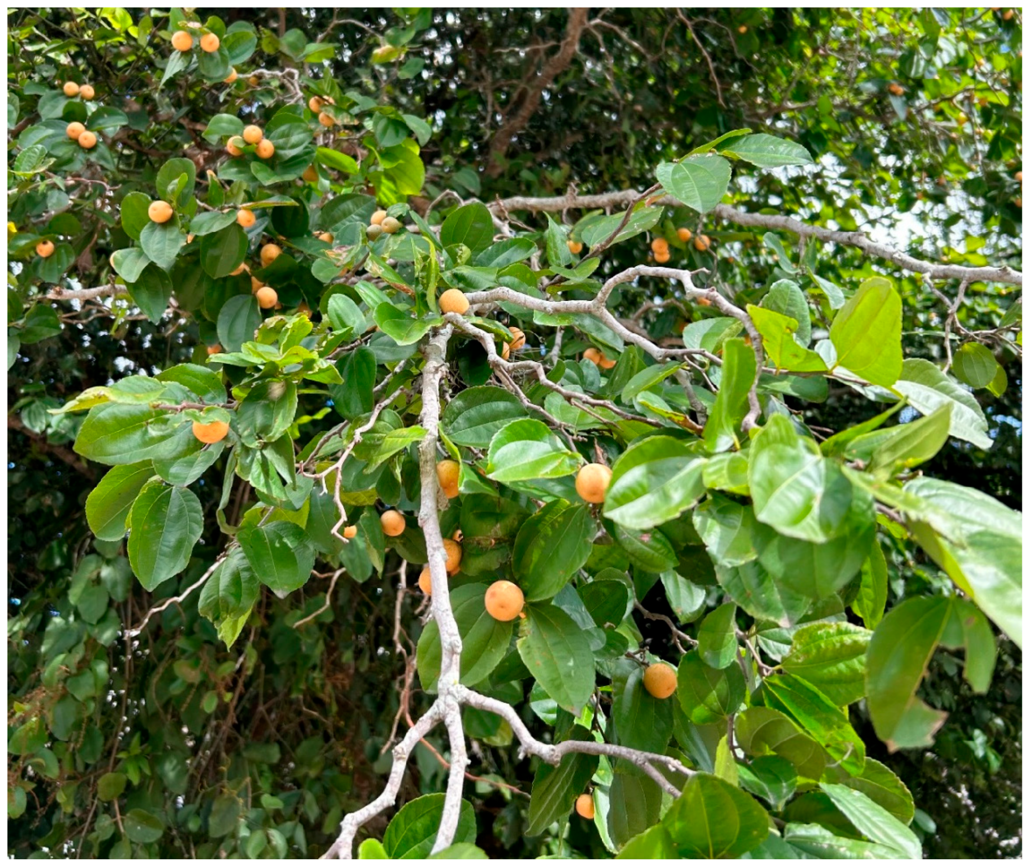 Processes 13 03352 g001 Processes 13 03352 g001