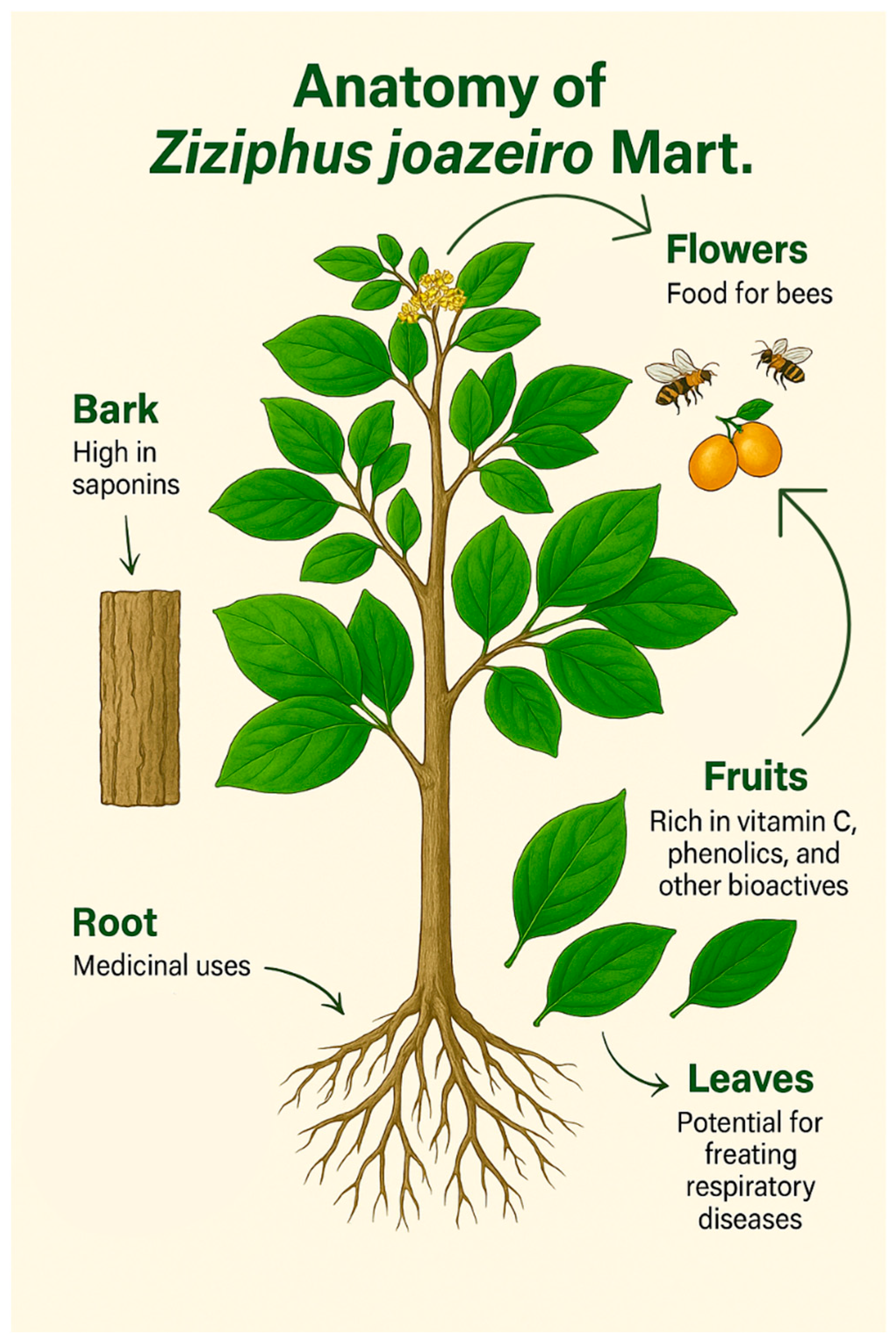 Processes 13 03352 g005 Processes 13 03352 g005