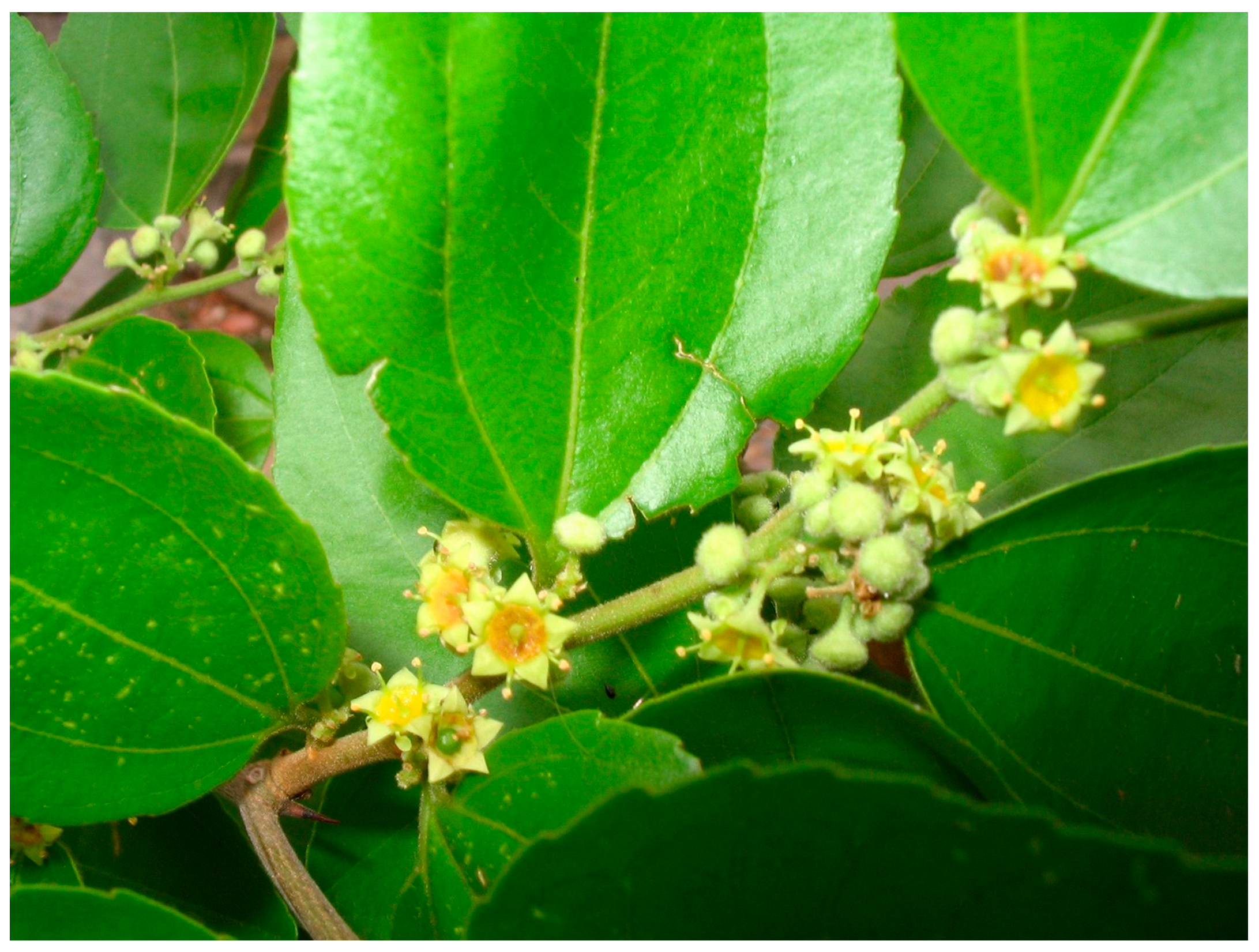 Processes 13 03352 g006 Processes 13 03352 g006