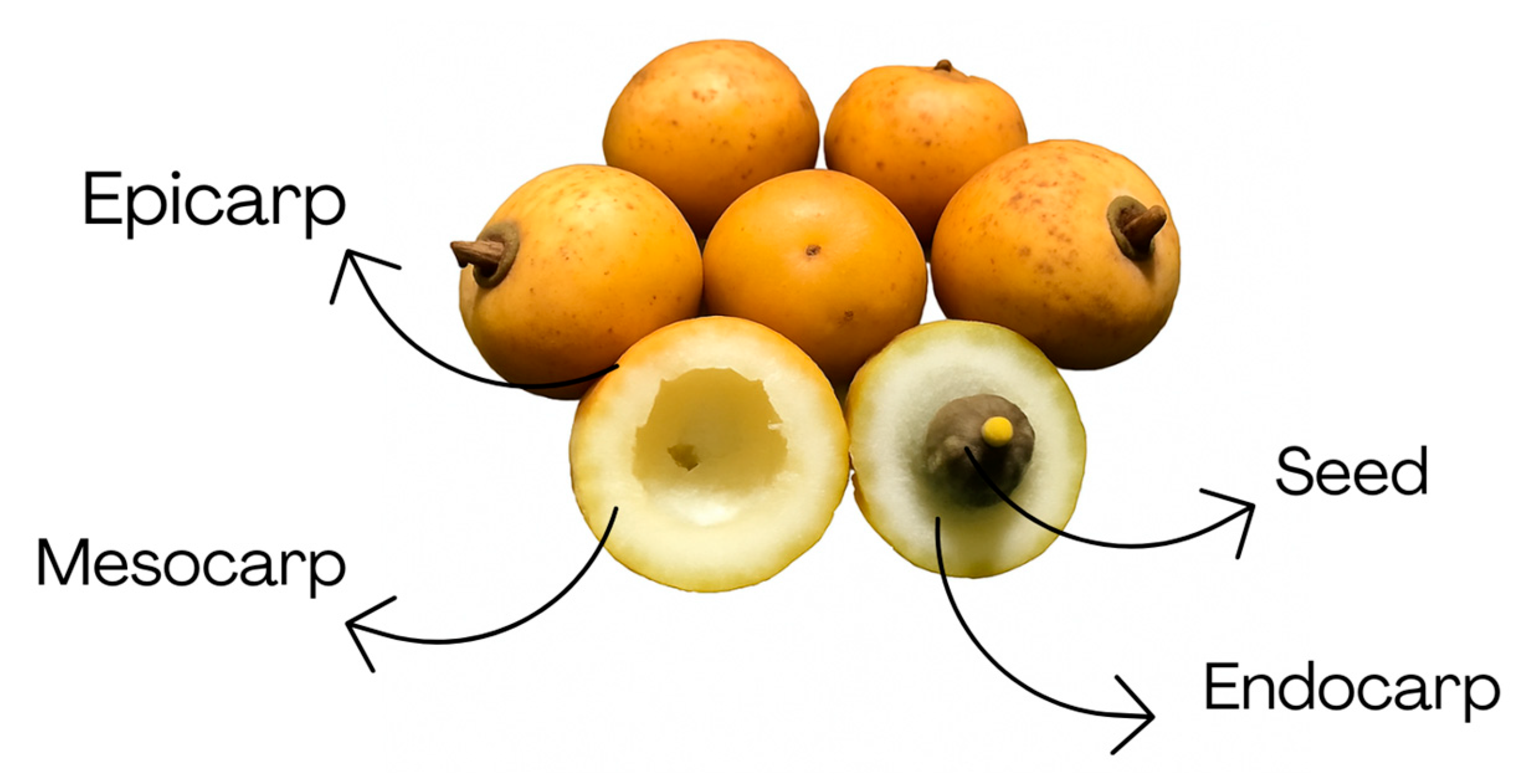 Processes 13 03352 g009 Processes 13 03352 g009