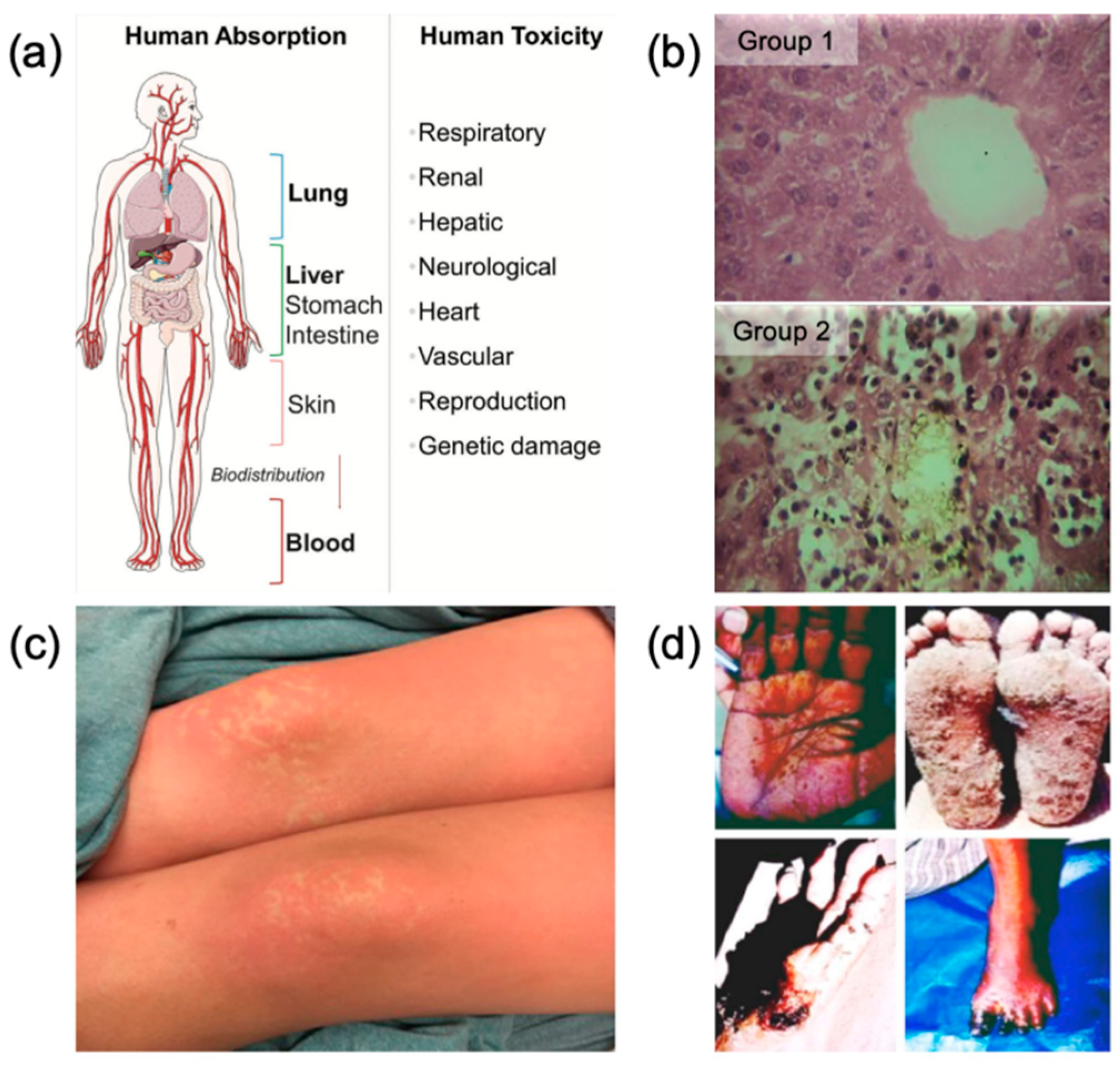 Processes 13 03361 g001 Processes 13 03361 g001