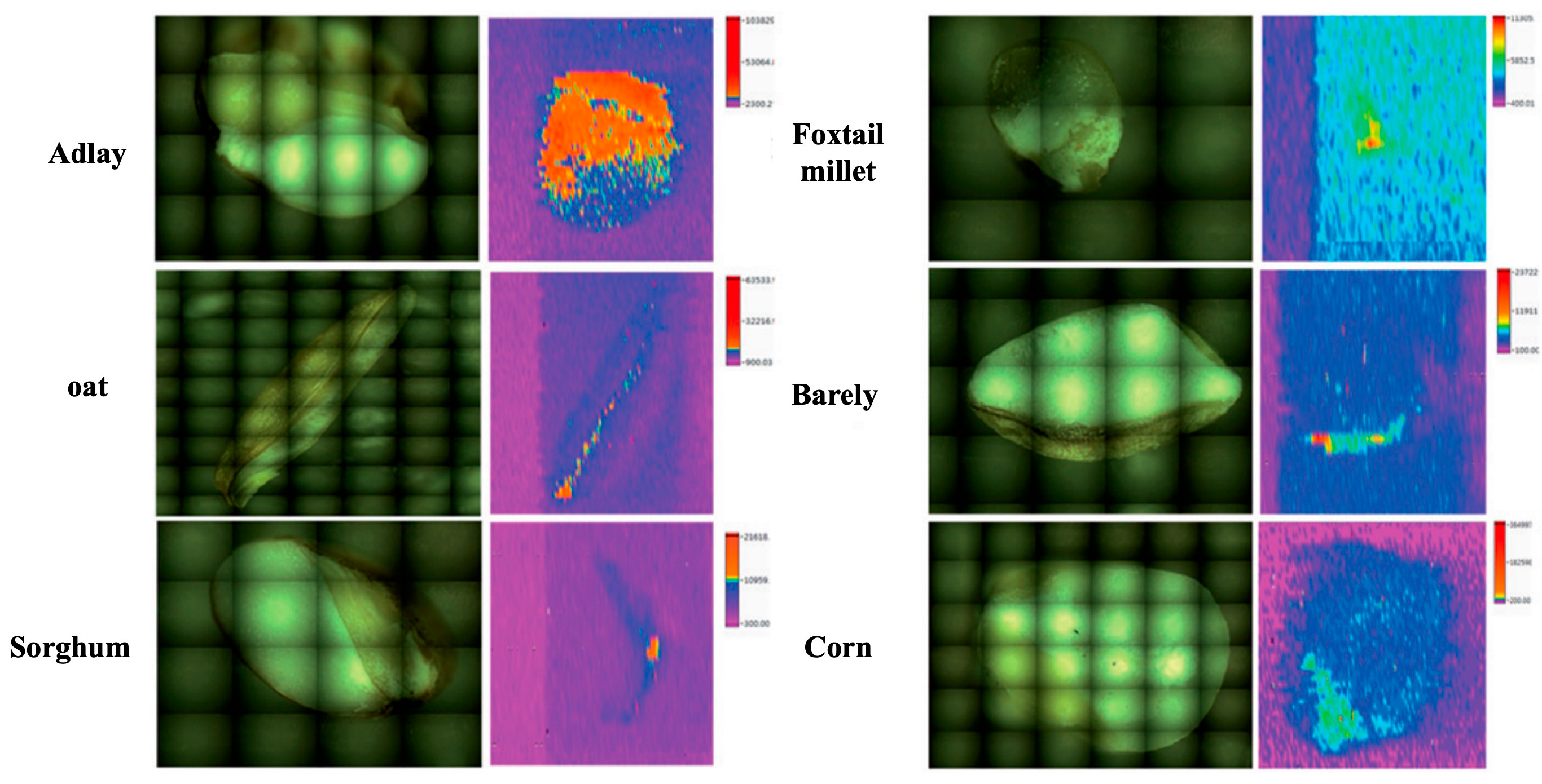 Processes 13 03361 g007 Processes 13 03361 g007