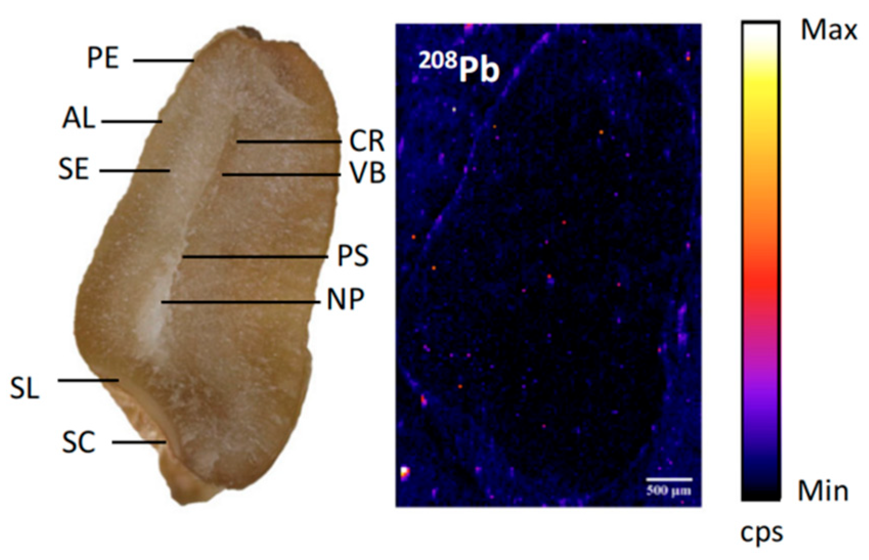 Processes 13 03361 g009 Processes 13 03361 g009