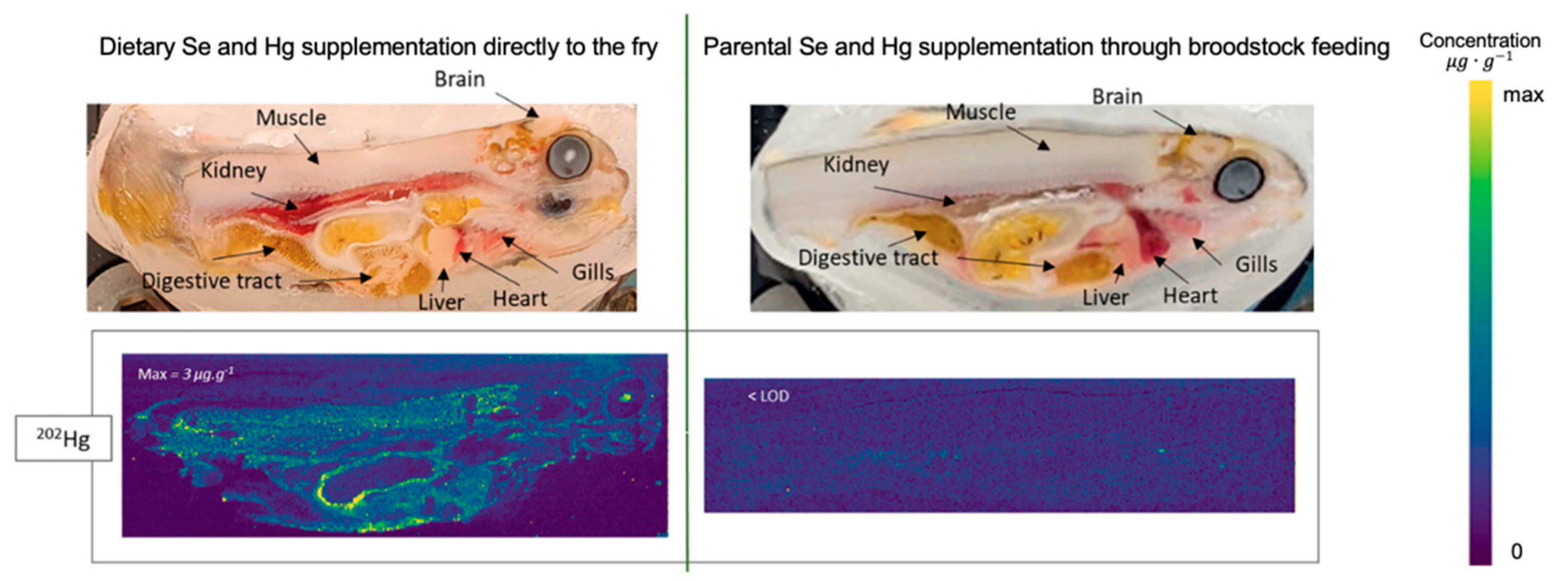 Processes 13 03361 g011 Processes 13 03361 g011