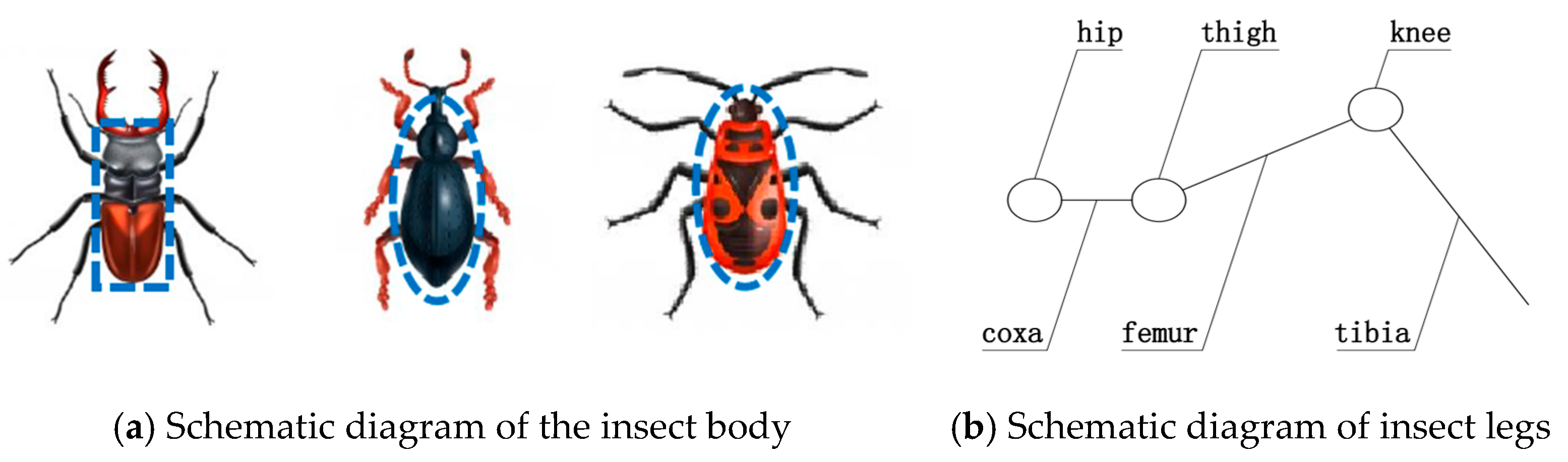 Processes 13 03364 g001 Processes 13 03364 g001