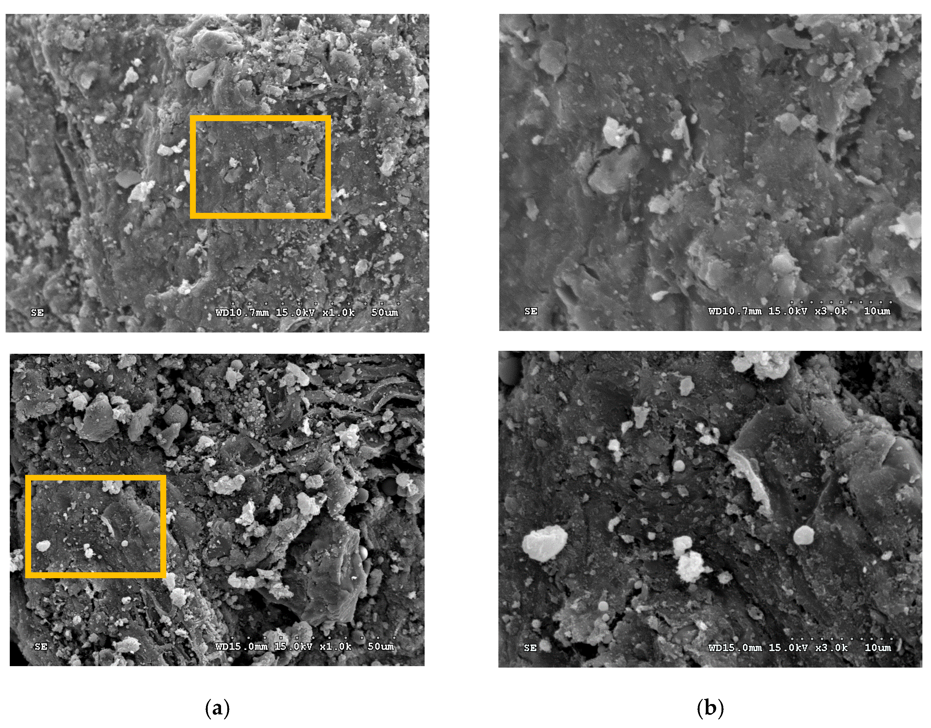 Processes 13 03380 g004 Processes 13 03380 g004