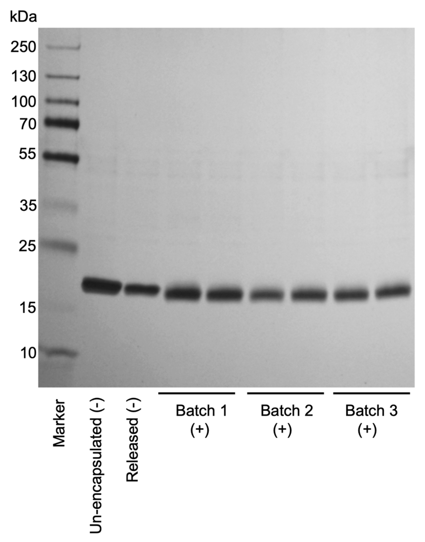 Processes 13 03395 g001 Processes 13 03395 g001