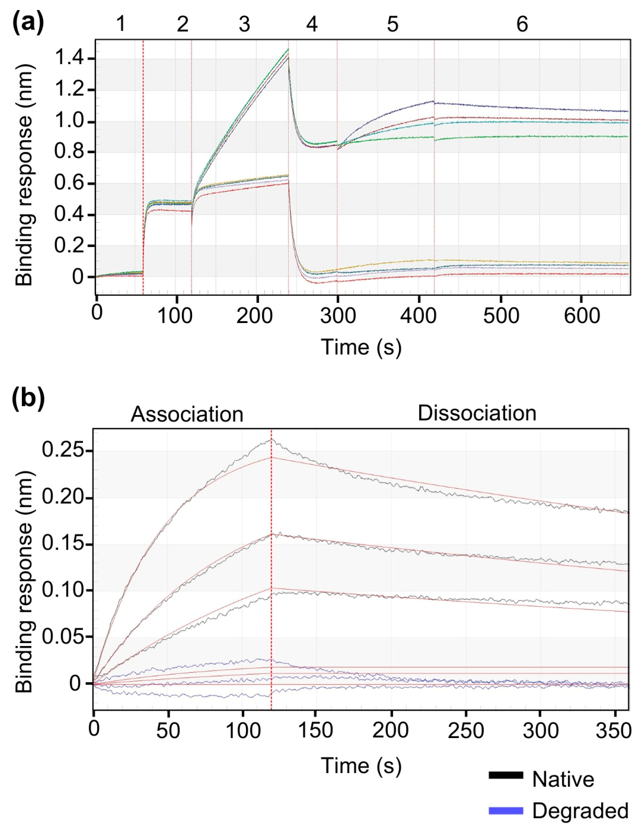 Processes 13 03395 sch001 Processes 13 03395 sch001