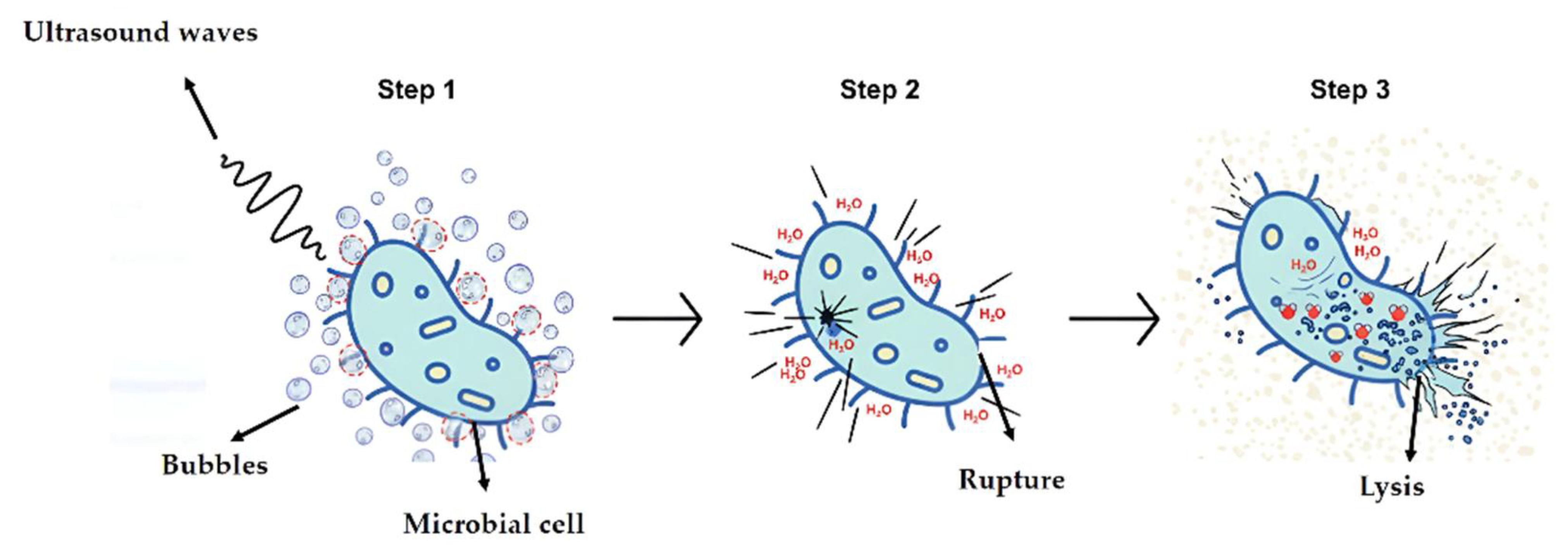 Processes 13 03403 g003