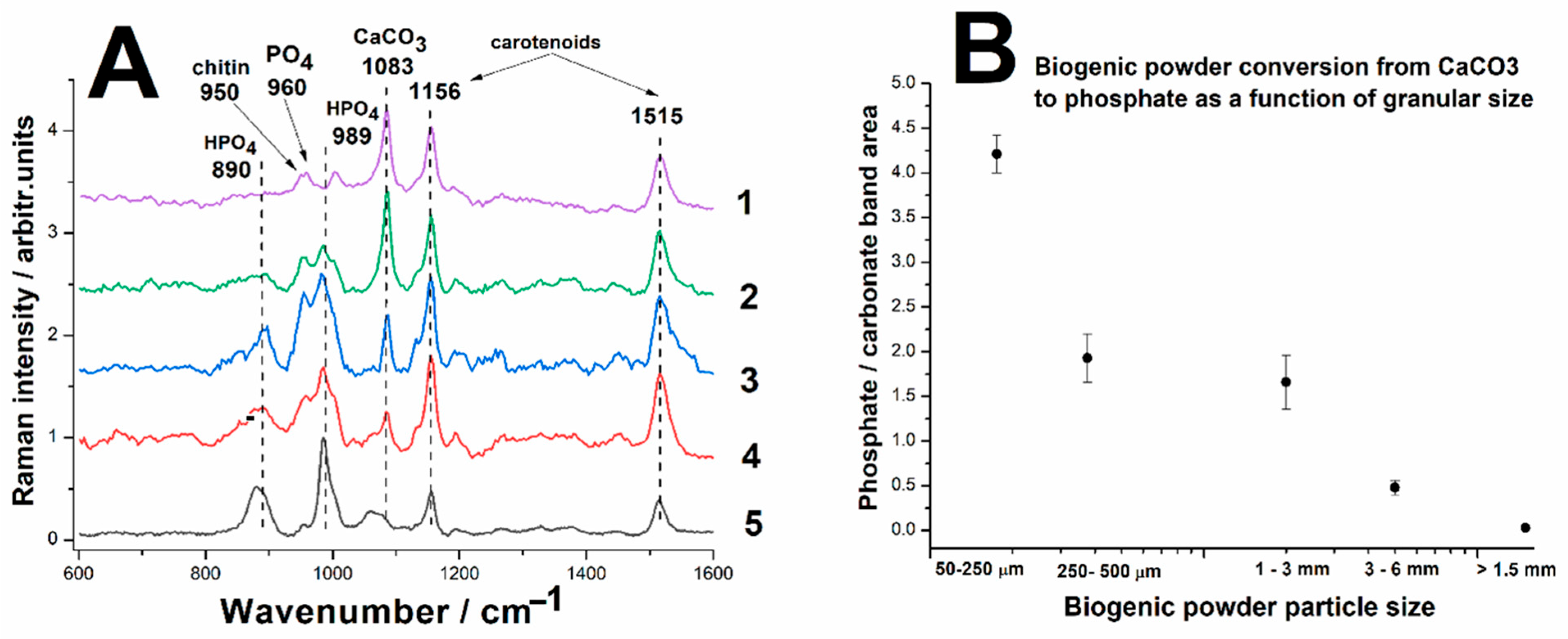 Processes 13 03413 g006