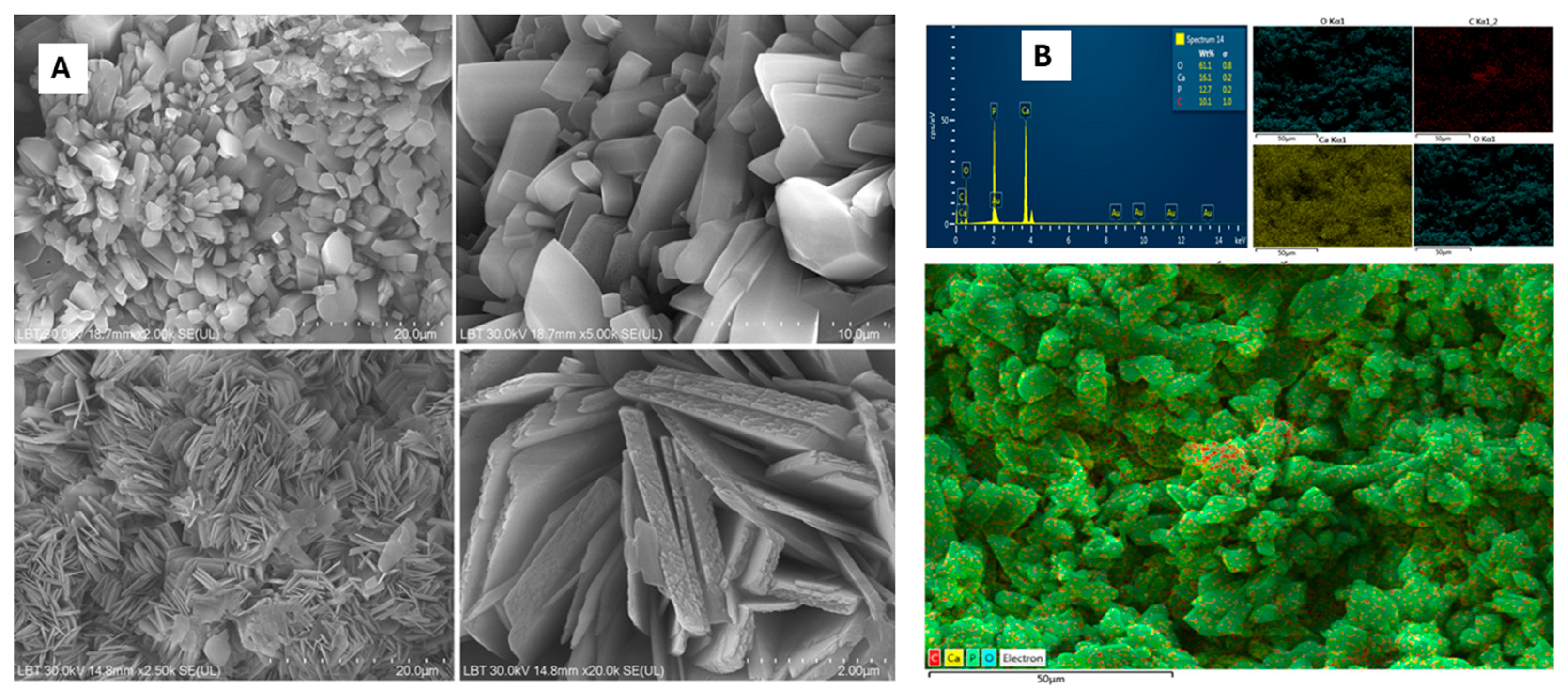 Processes 13 03413 g007