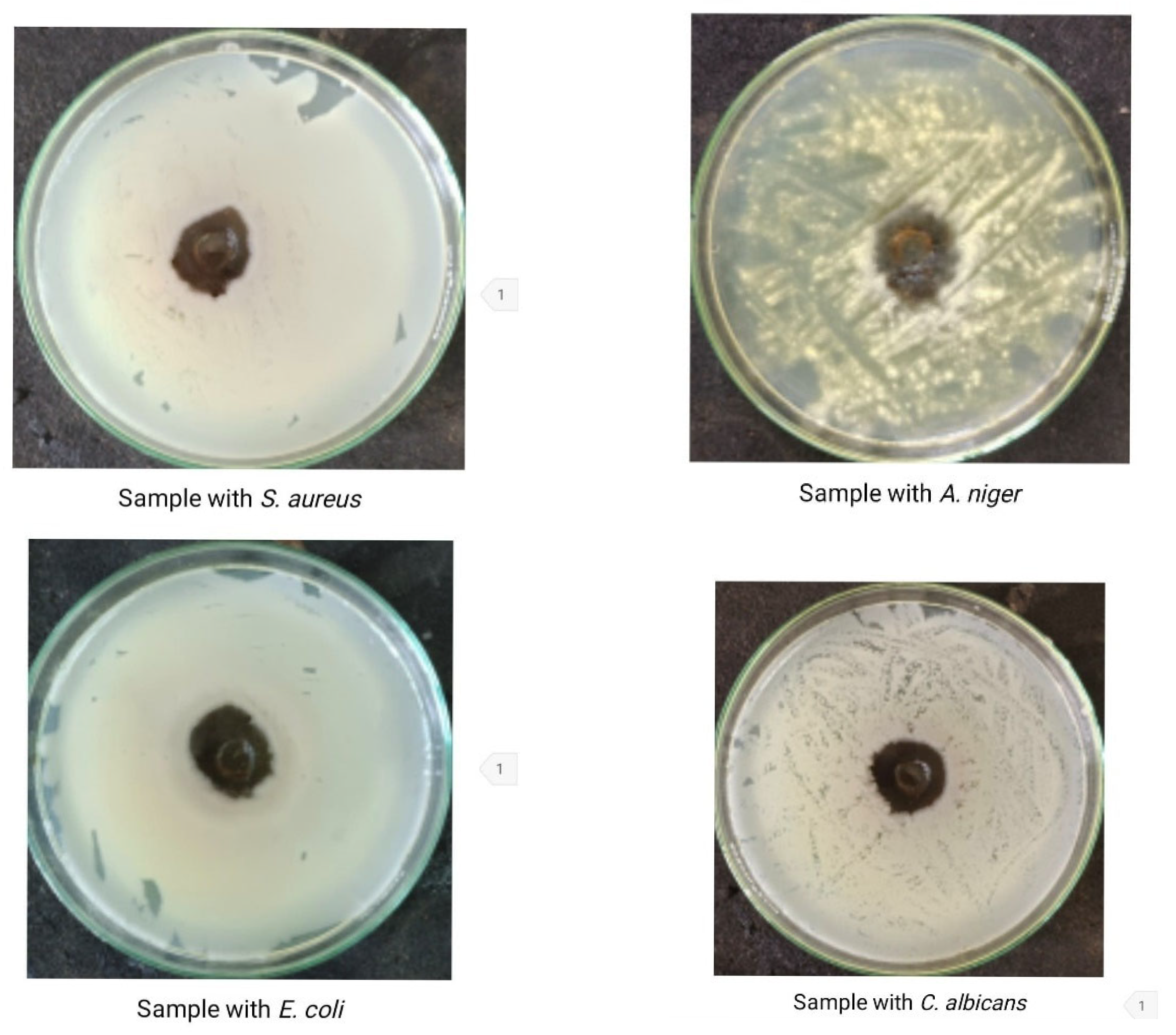 Processes 13 03453 g006 Processes 13 03453 g006