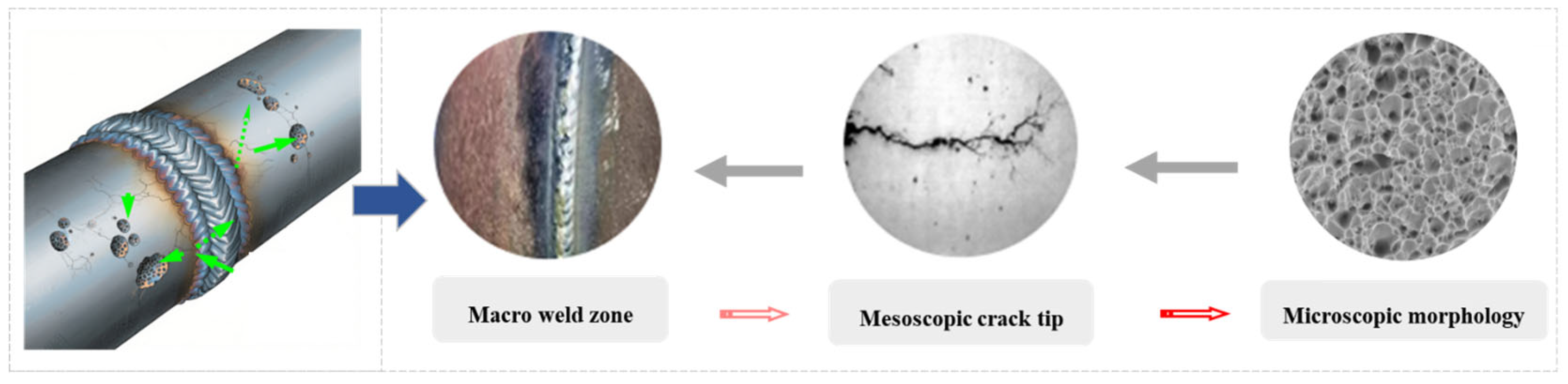 Processes 13 03458 g003