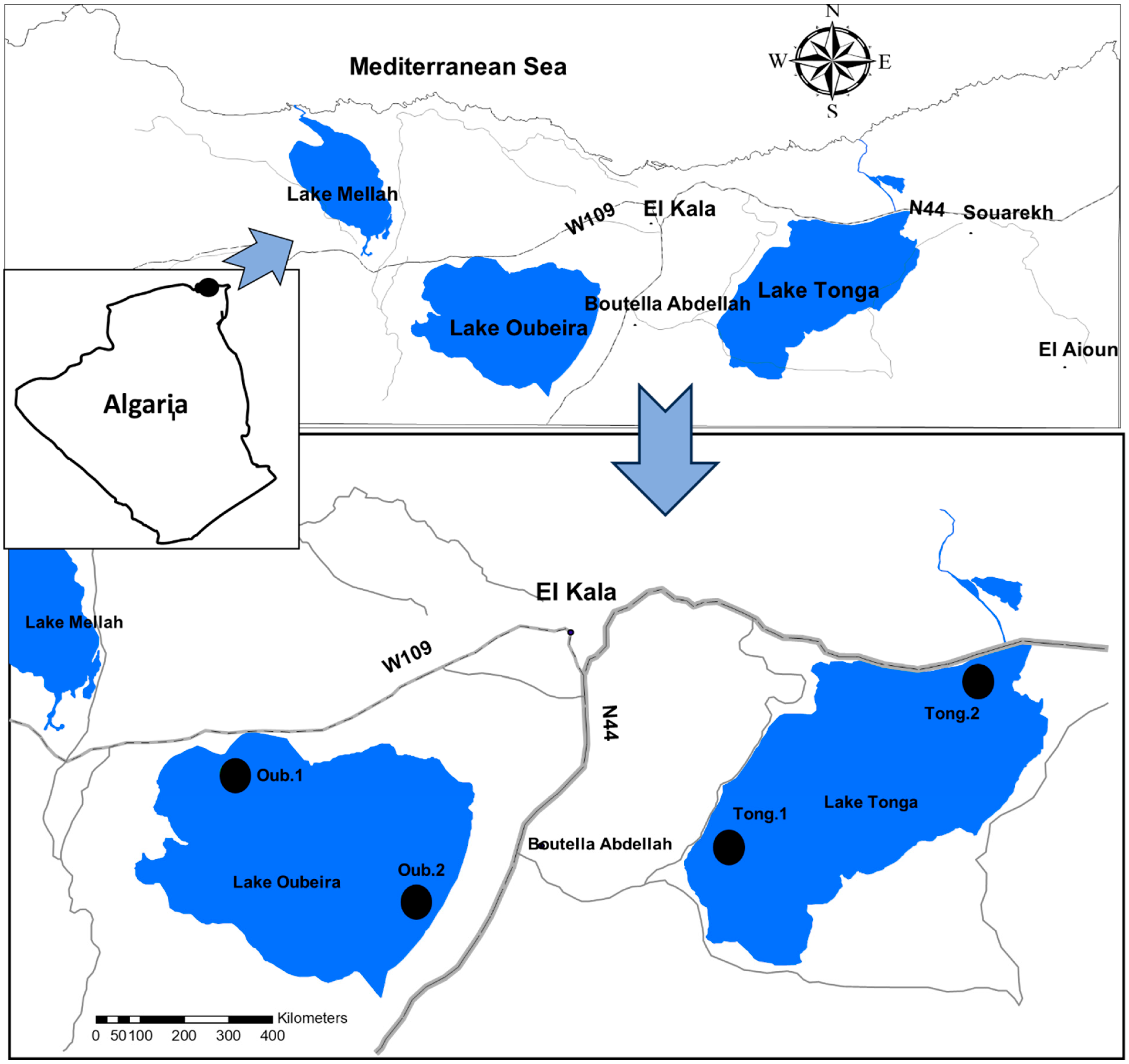 Processes 13 03466 g001 Processes 13 03466 g001