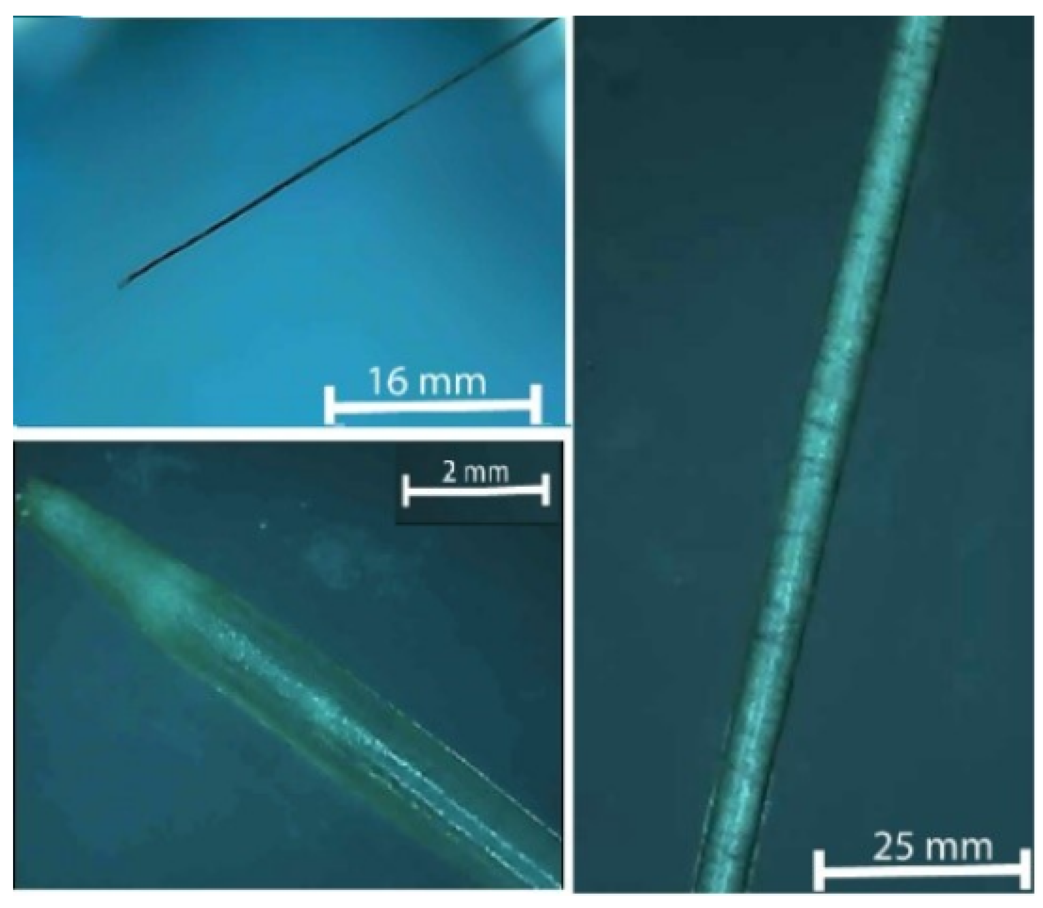 Processes 13 03473 g001 Processes 13 03473 g001