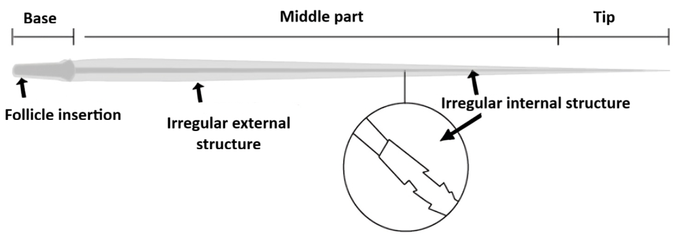 Processes 13 03473 g002 Processes 13 03473 g002