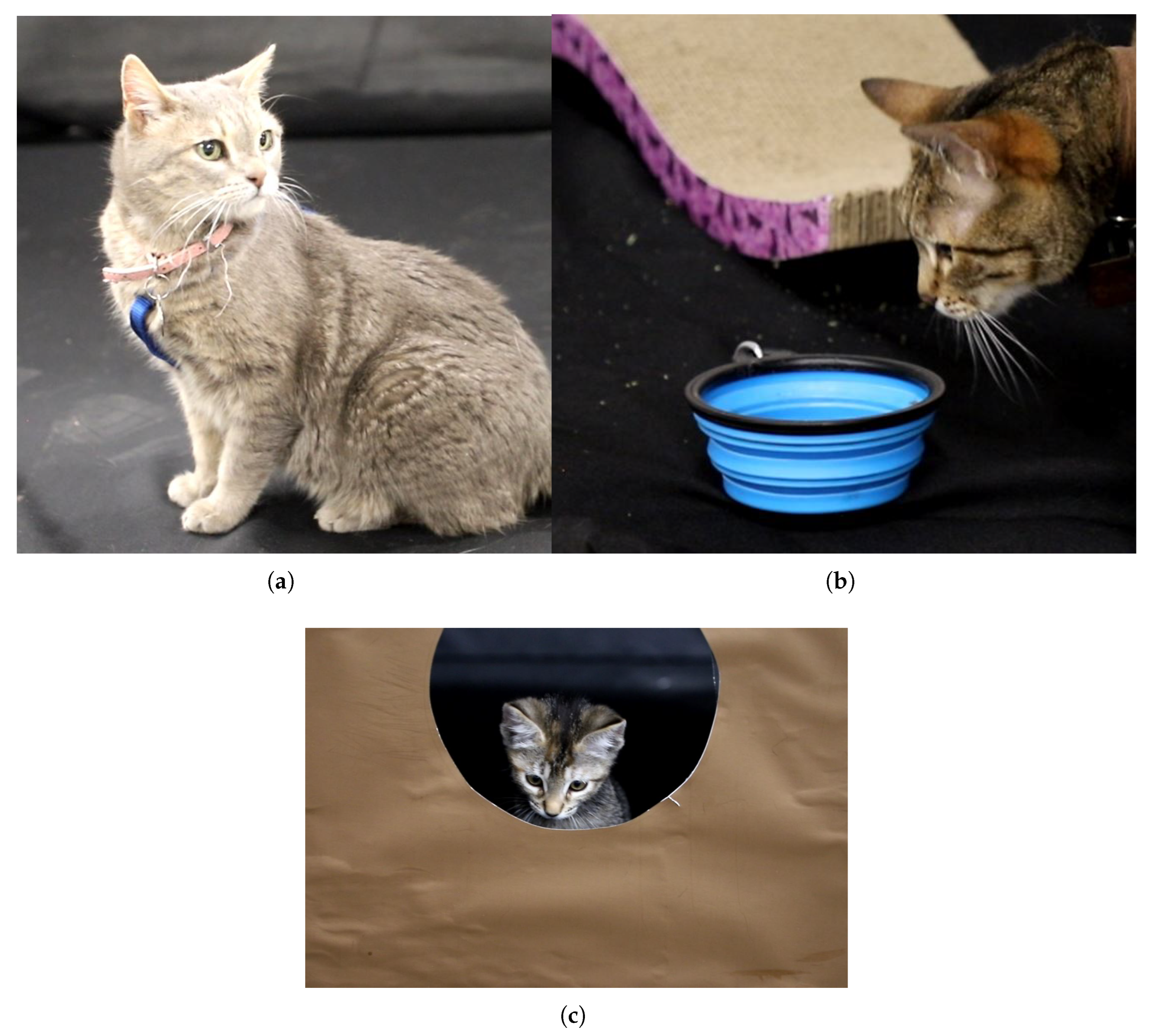 Processes 13 03473 g004 Processes 13 03473 g004