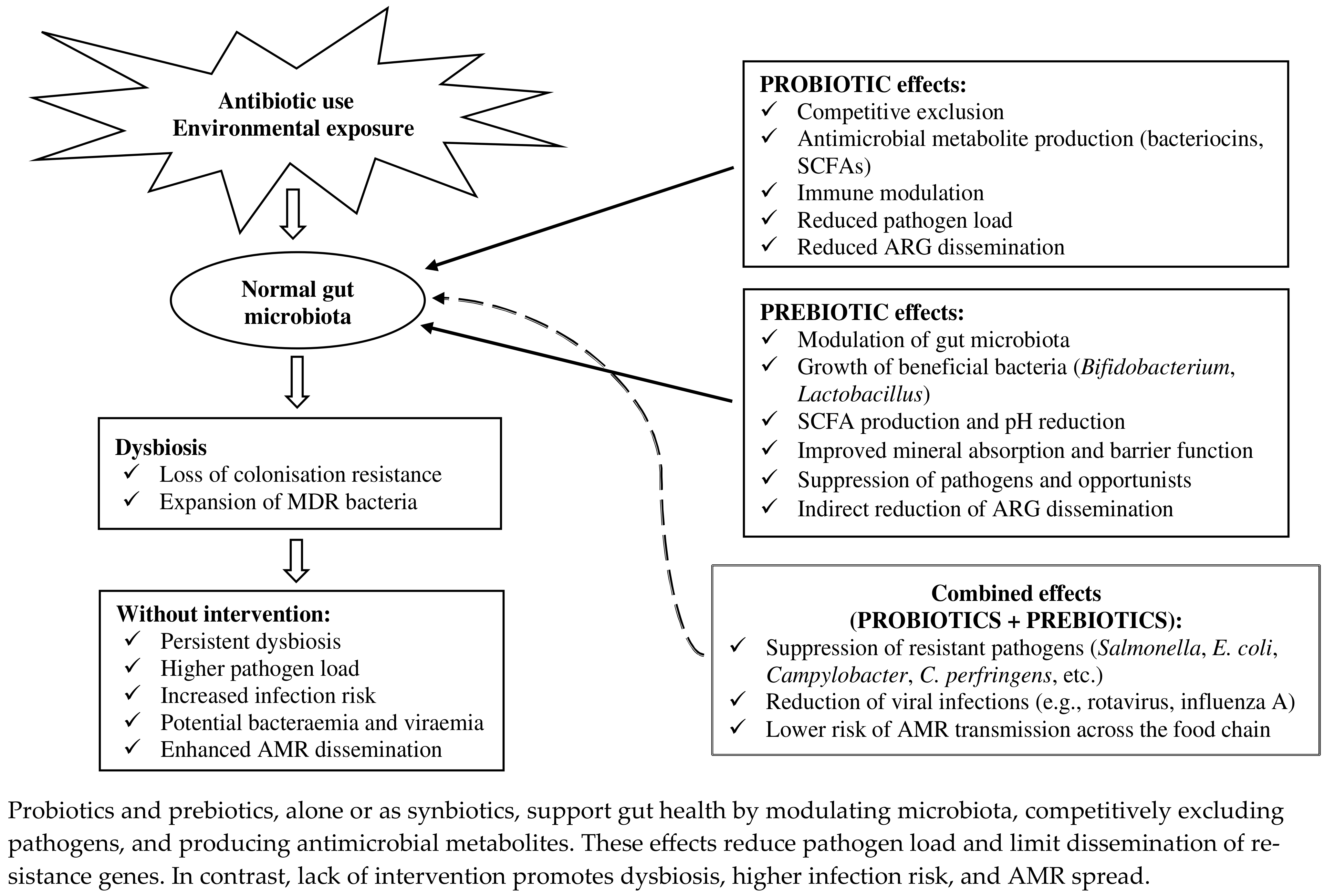 Processes 13 03483 g002