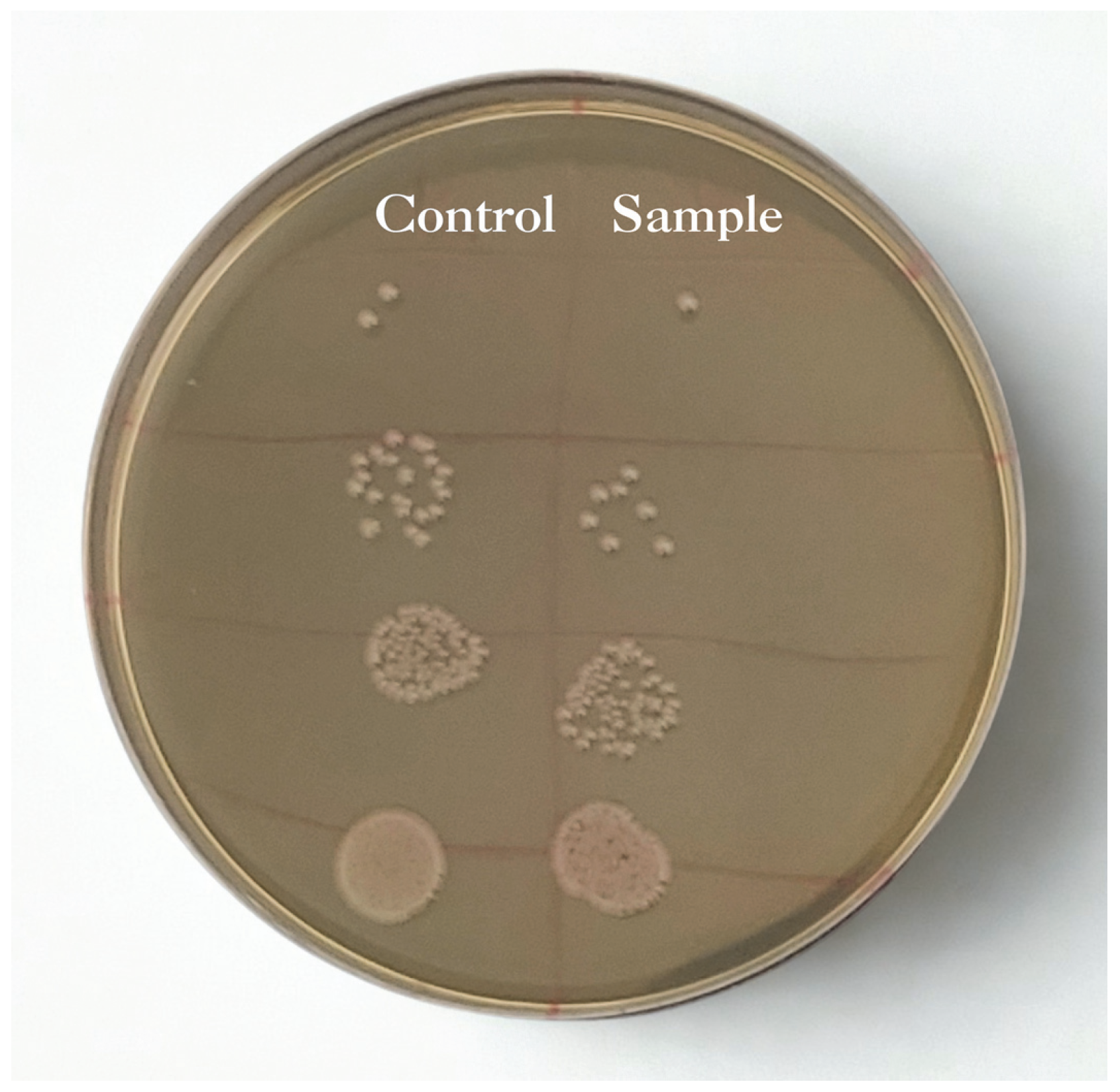 Processes 13 03485 g008 Processes 13 03485 g008