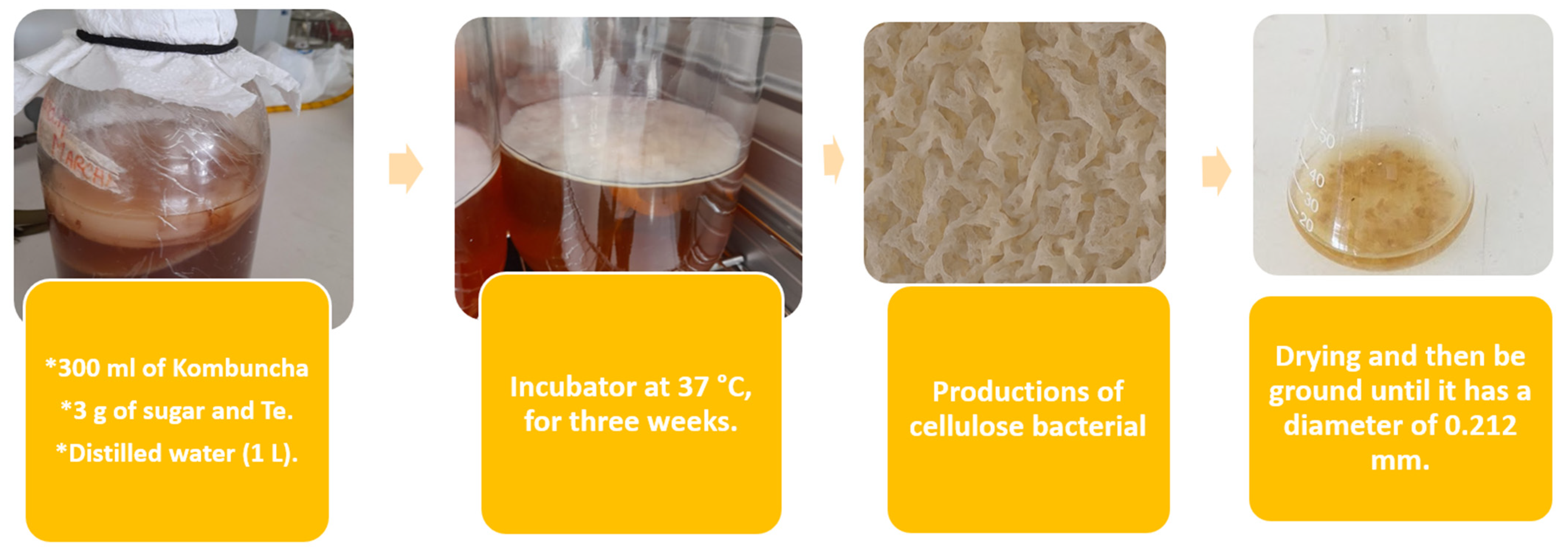 Processes 13 03493 g001