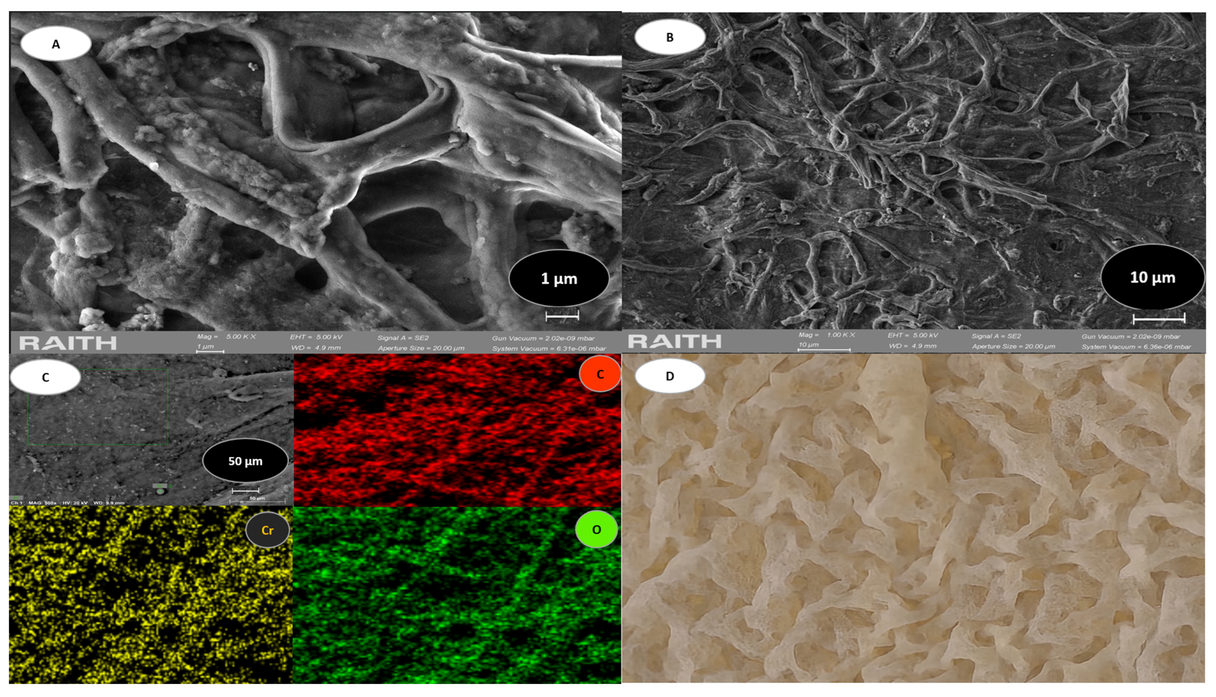 Processes 13 03493 g003