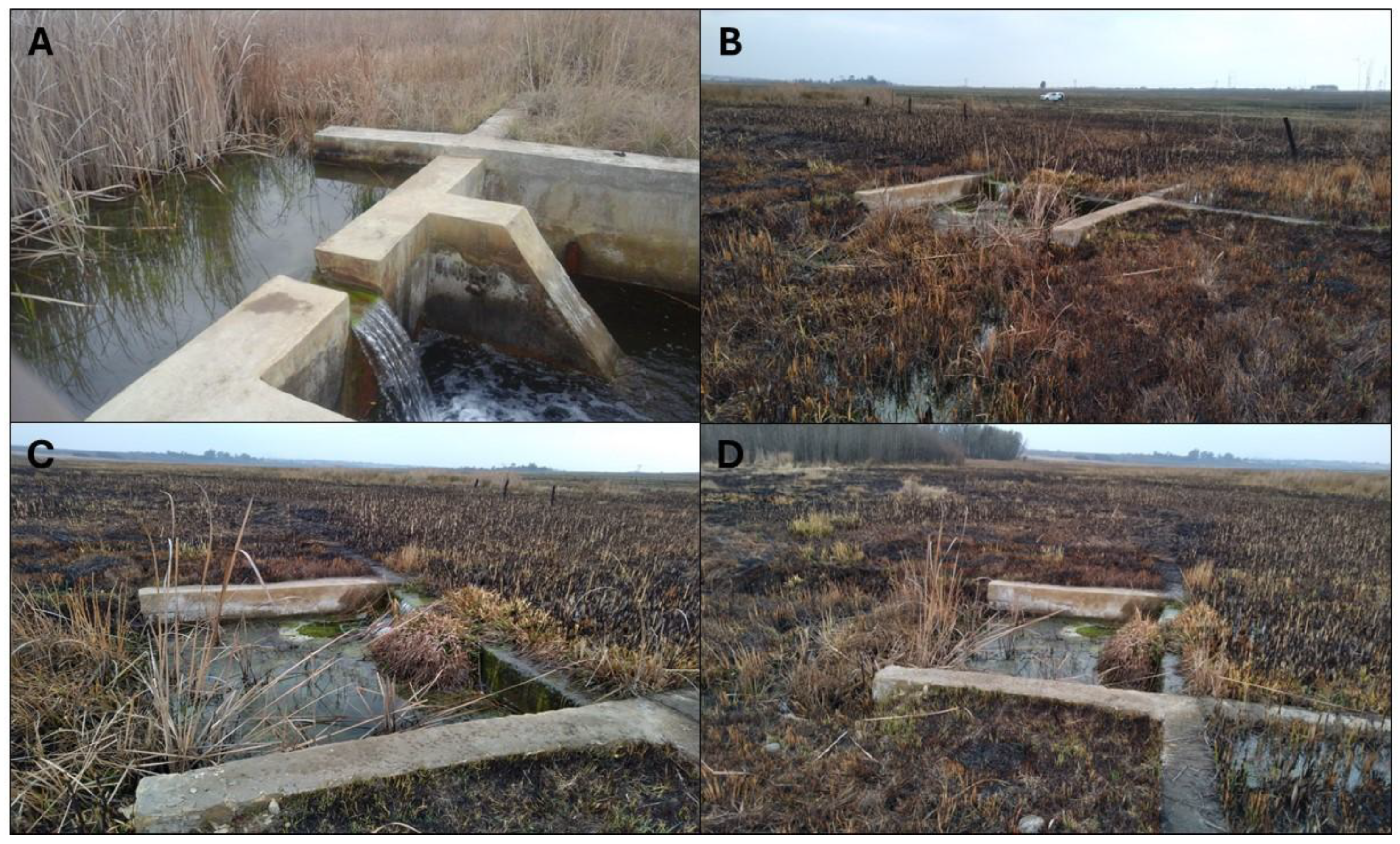 Processes 13 03494 g002