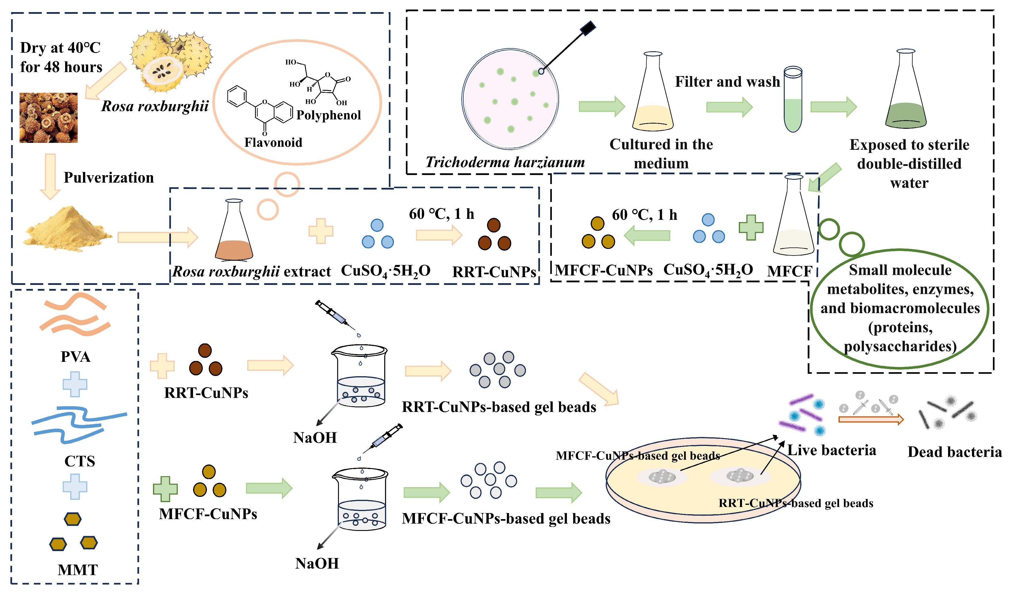 Processes 13 03518 g001 Processes 13 03518 g001