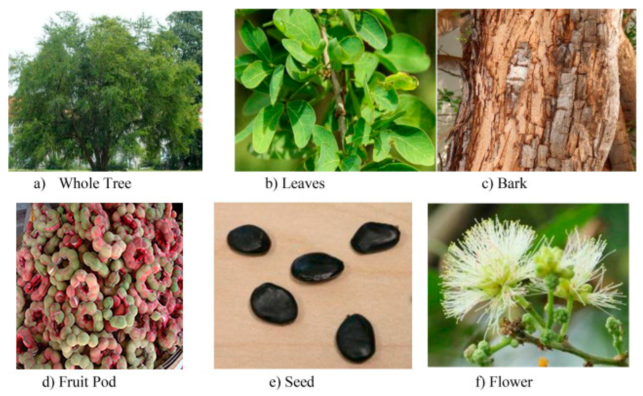 Processes 13 03554 g001 Processes 13 03554 g001