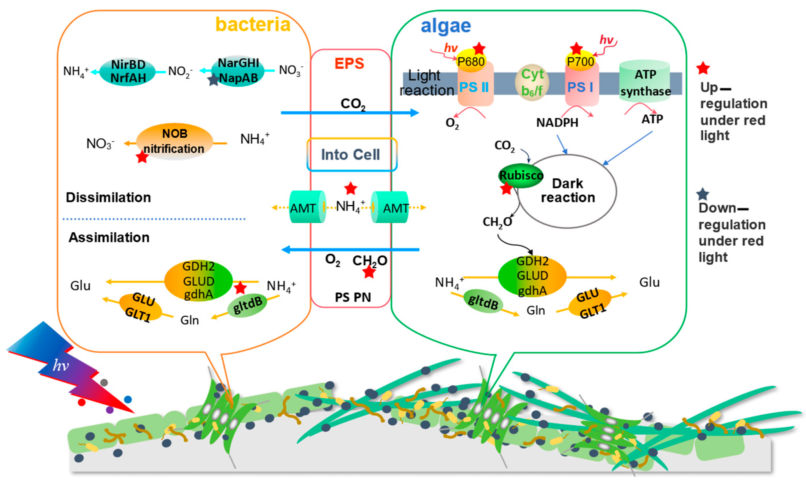Processes 13 03594 g006 Processes 13 03594 g006