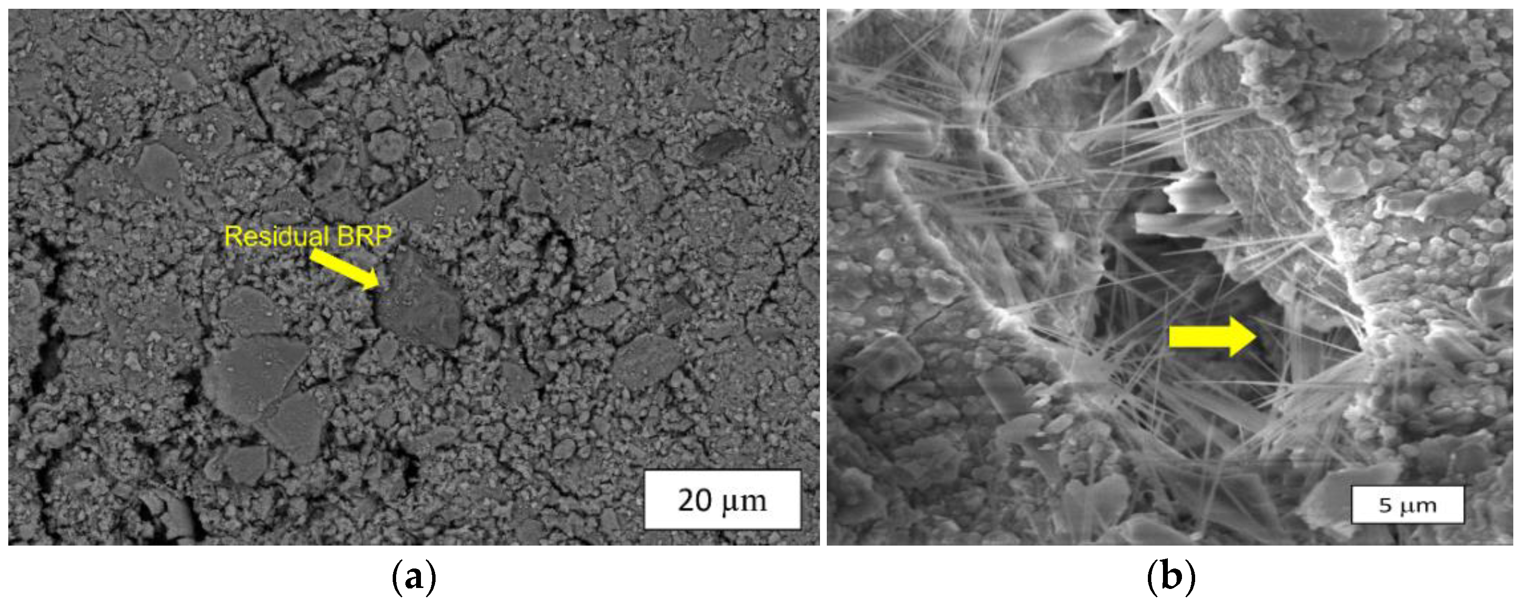 Processes 13 03624 g011a