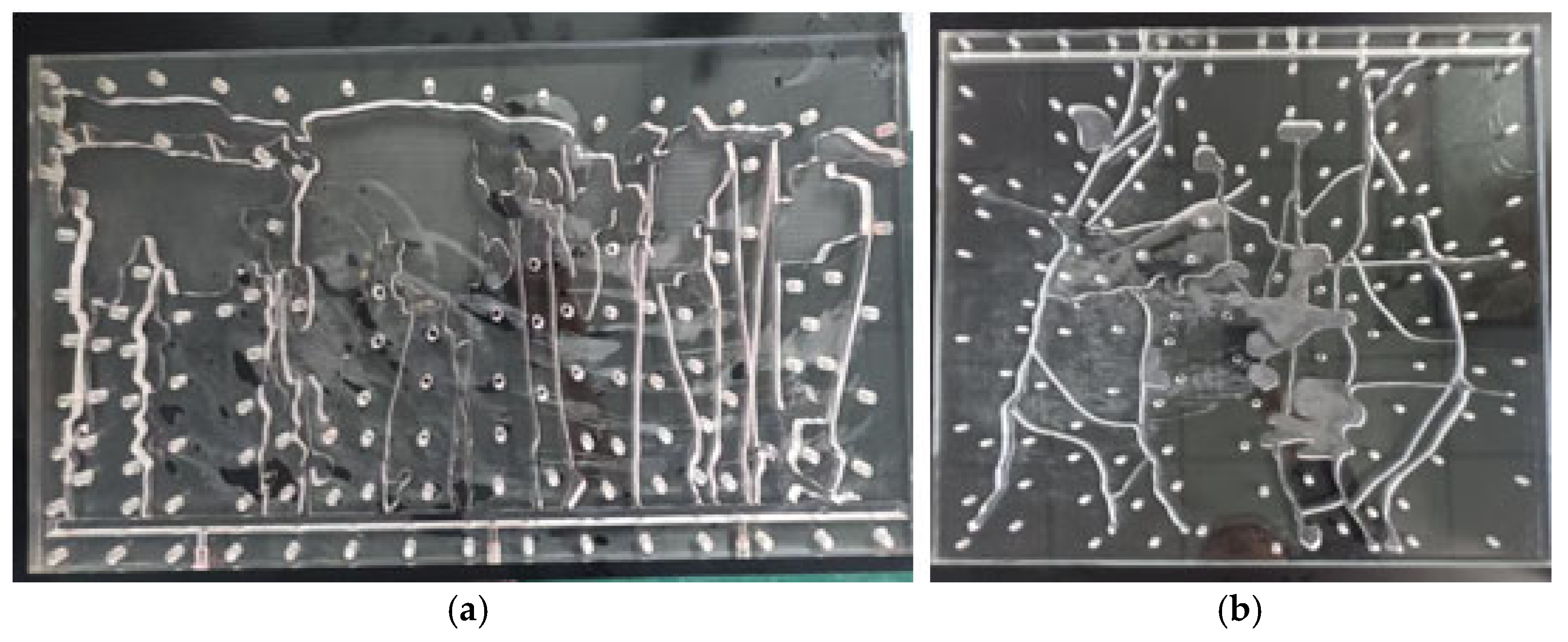 Processes 13 03642 g003