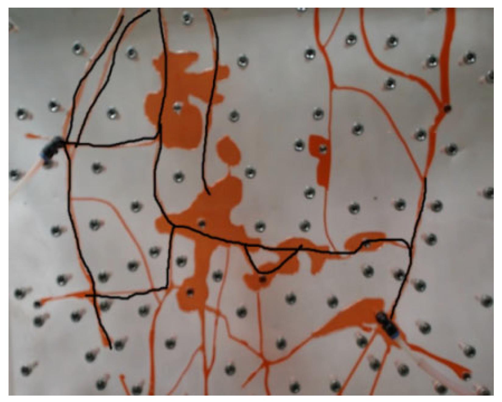 Processes 13 03642 g006