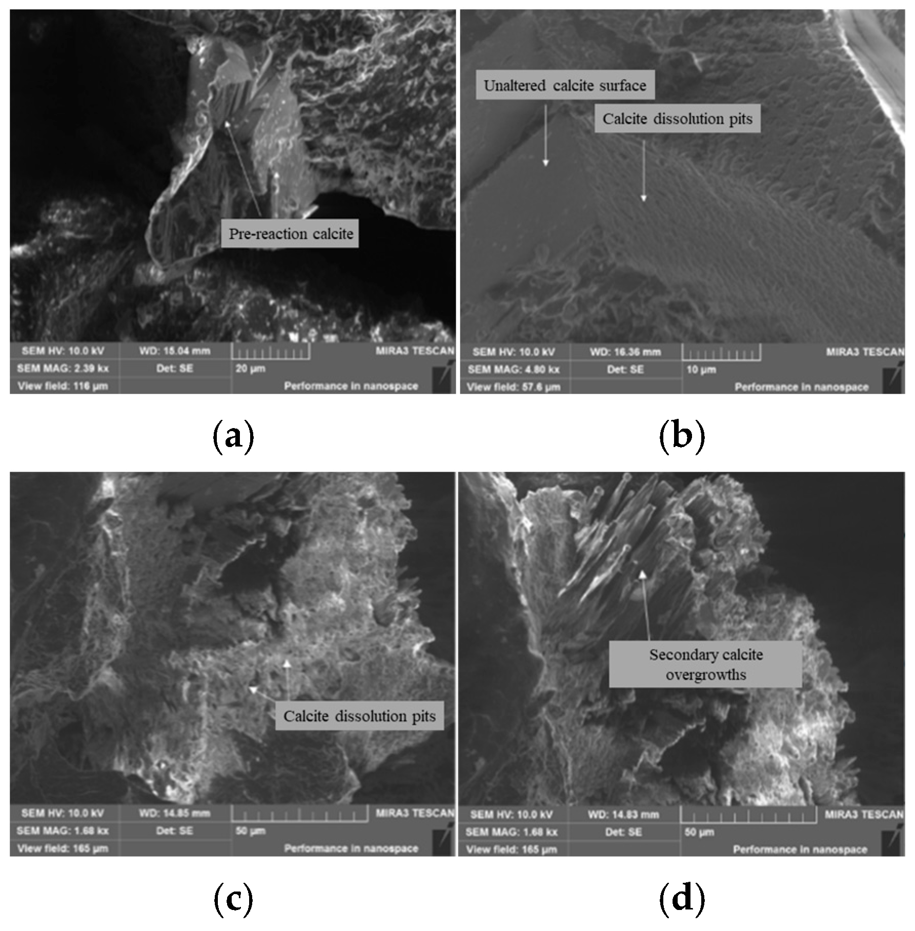Processes 13 03644 g006