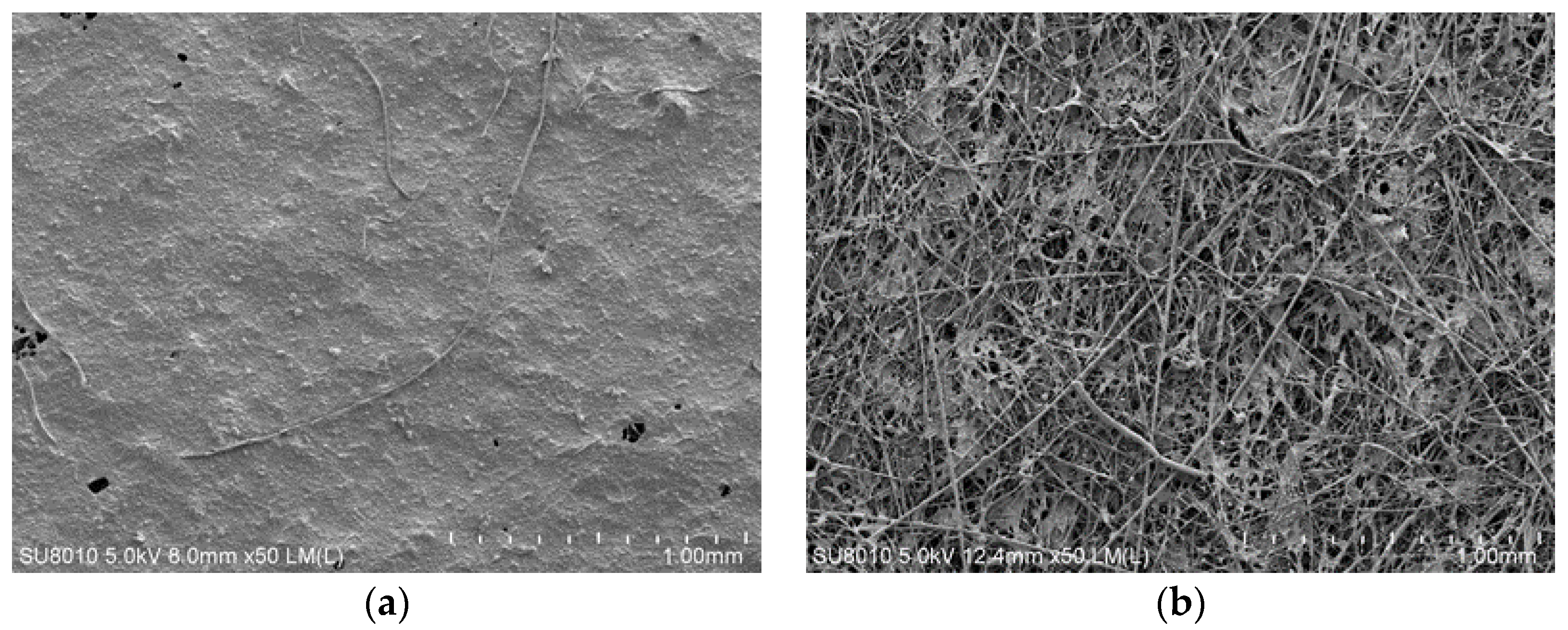 Processes 13 03645 g013