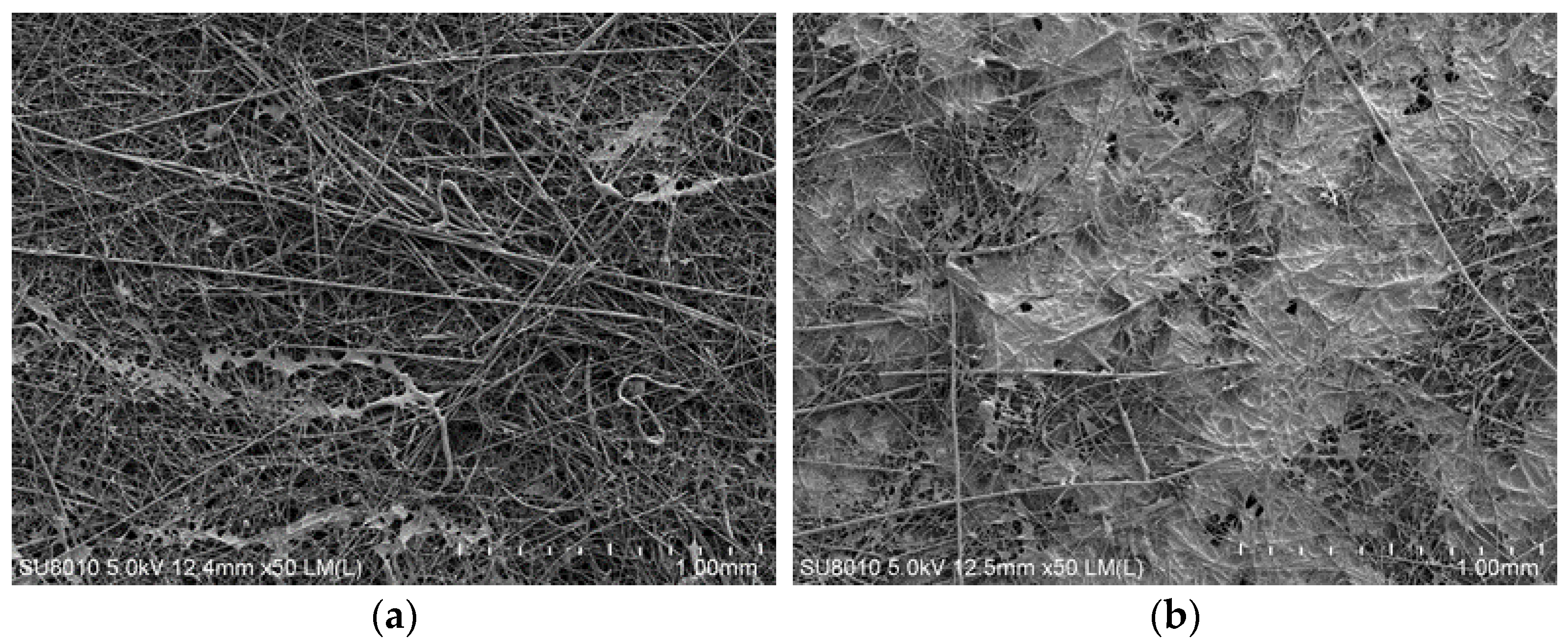 Processes 13 03645 g014