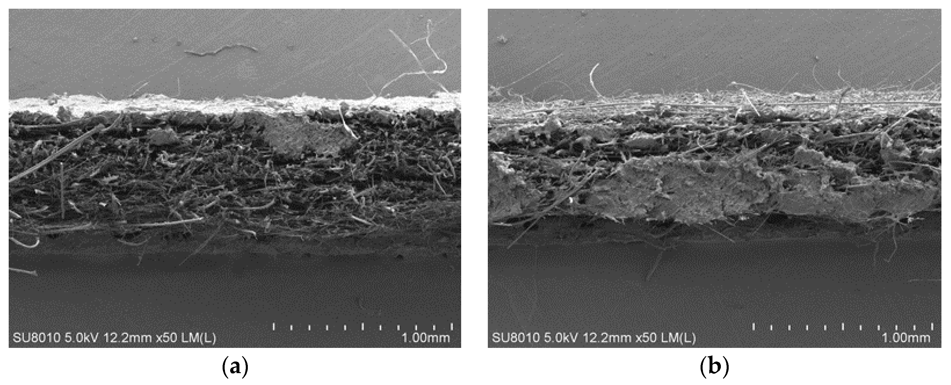 Processes 13 03645 g015