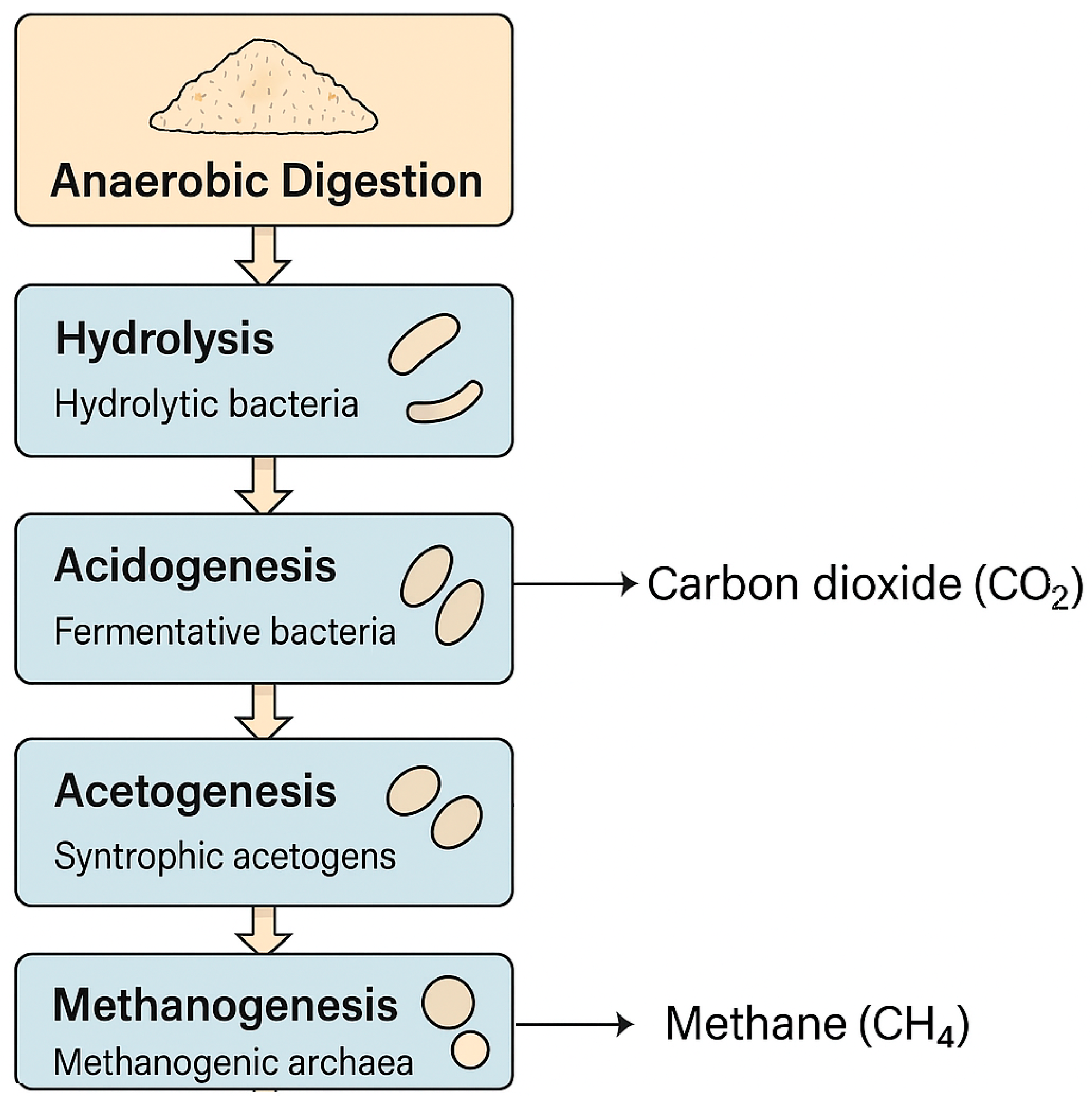 Processes 13 03648 g001