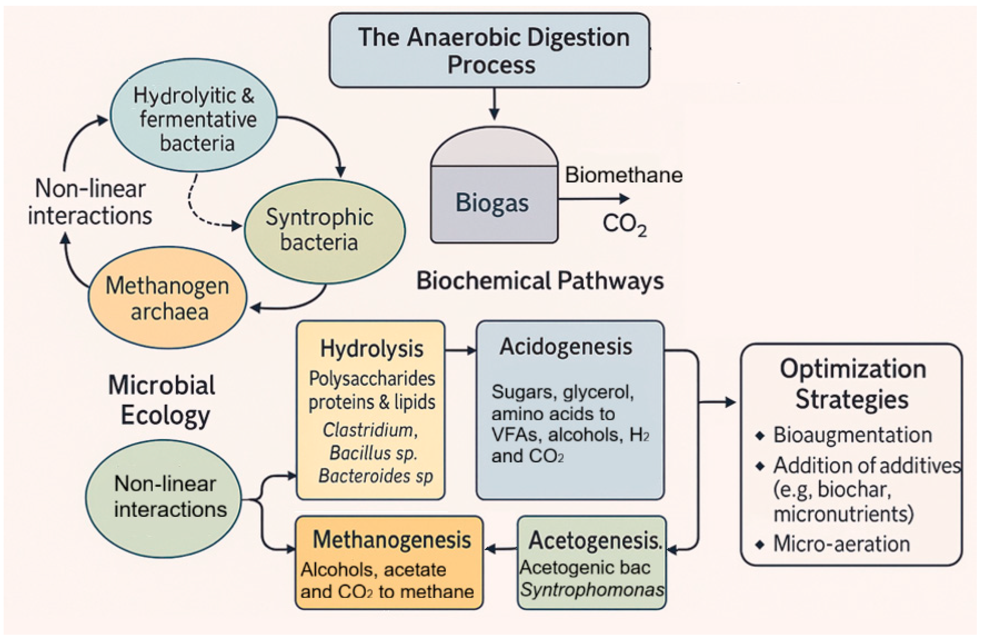 Processes 13 03648 g012