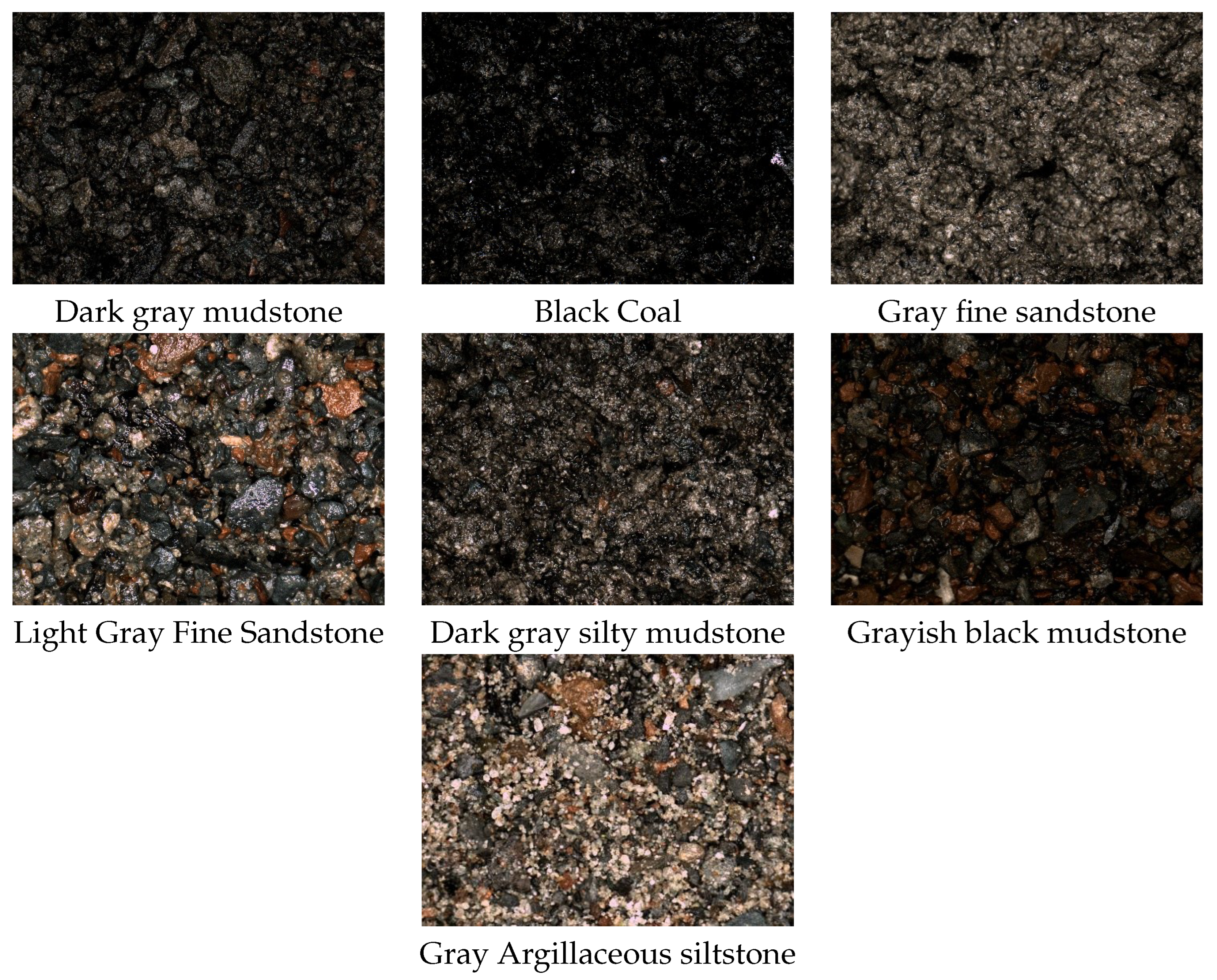 Processes 13 03653 g001 Processes 13 03653 g001