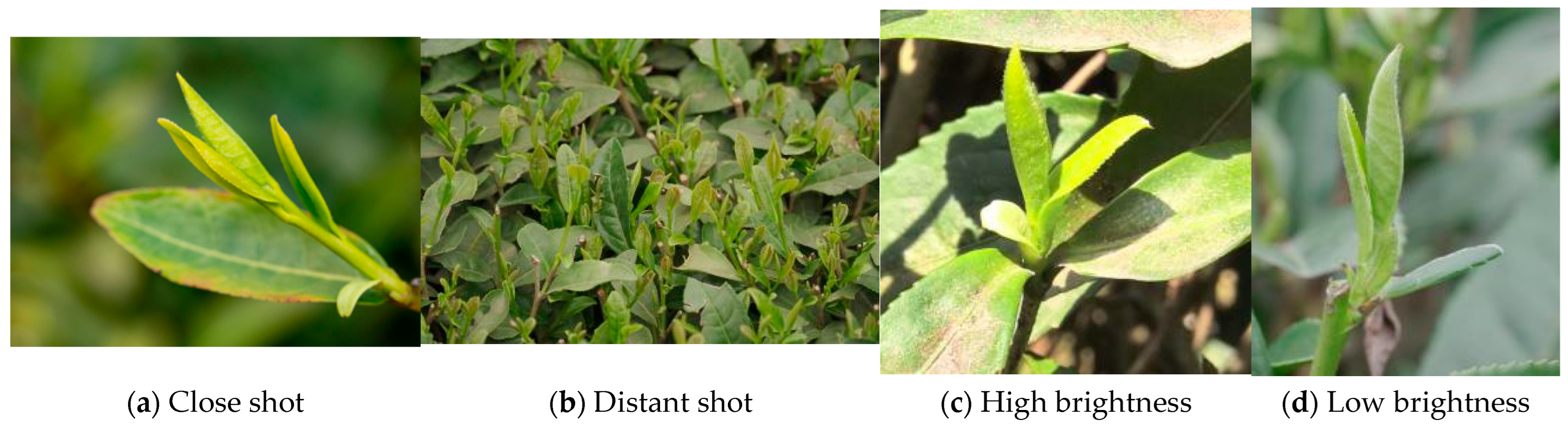 Processes 13 03658 g002